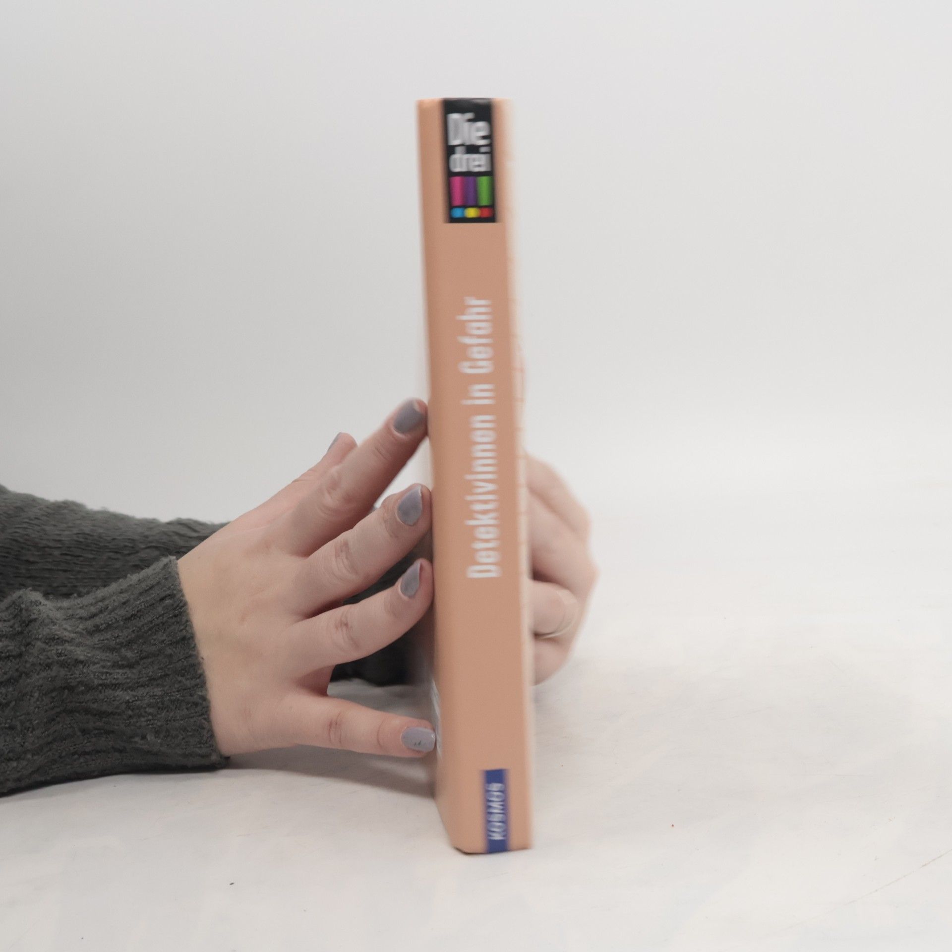 Kirsten Vogel Detektivinnen in Gefahr