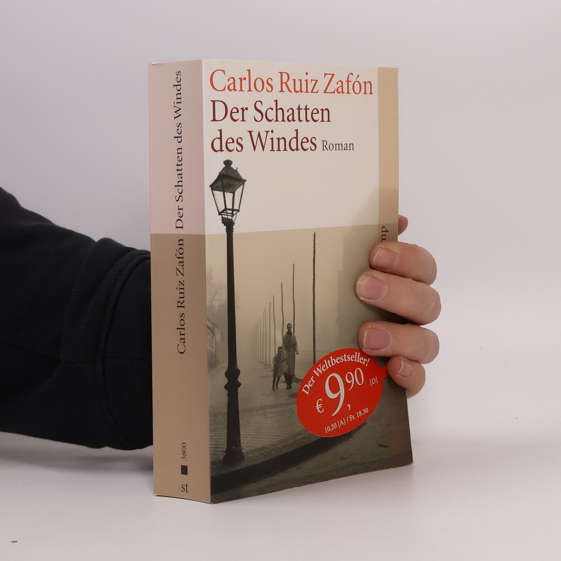Carlos Ruiz Zafón Der Schatten des Windes