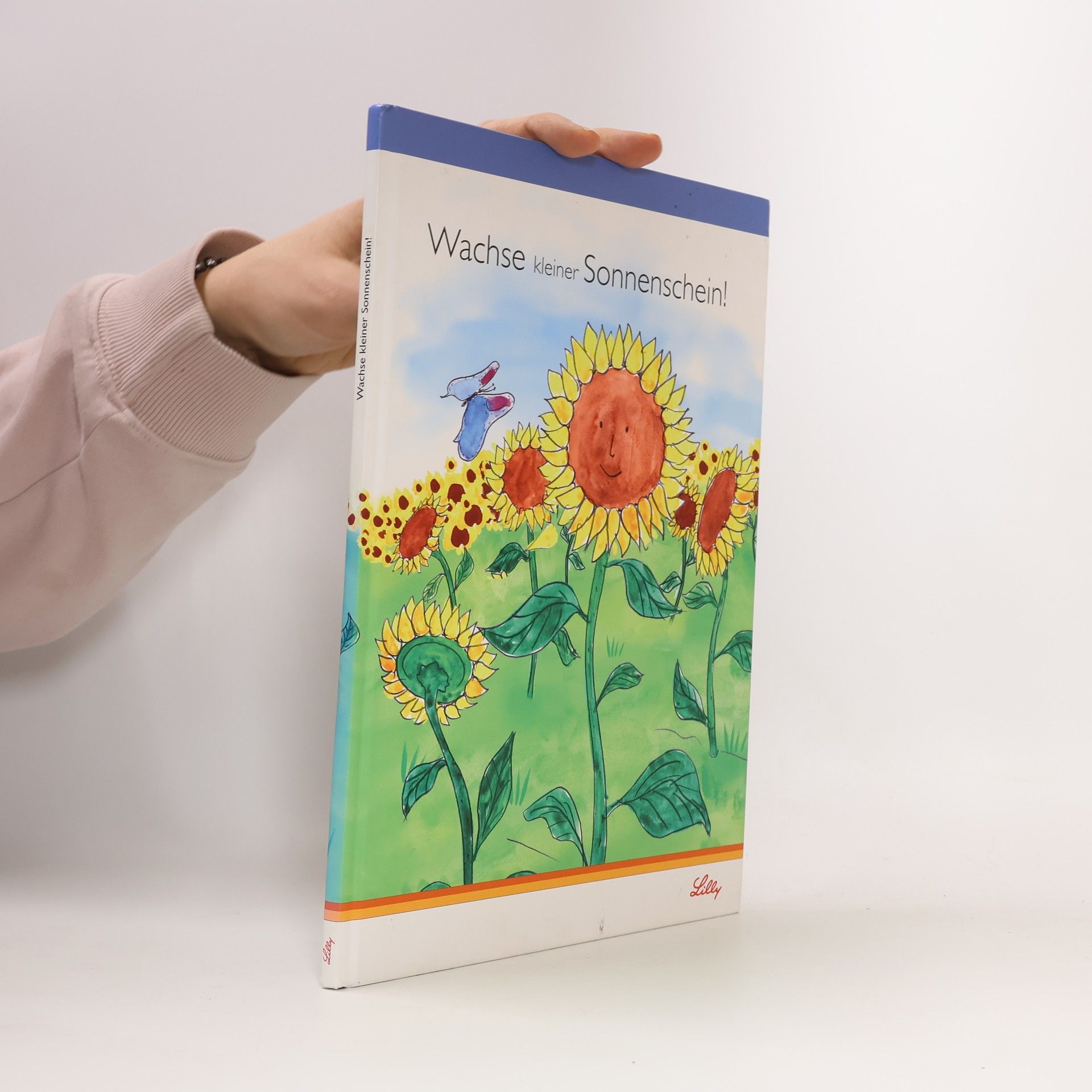 Autorenkollektiv Wachse kleiner Sonnenschein!