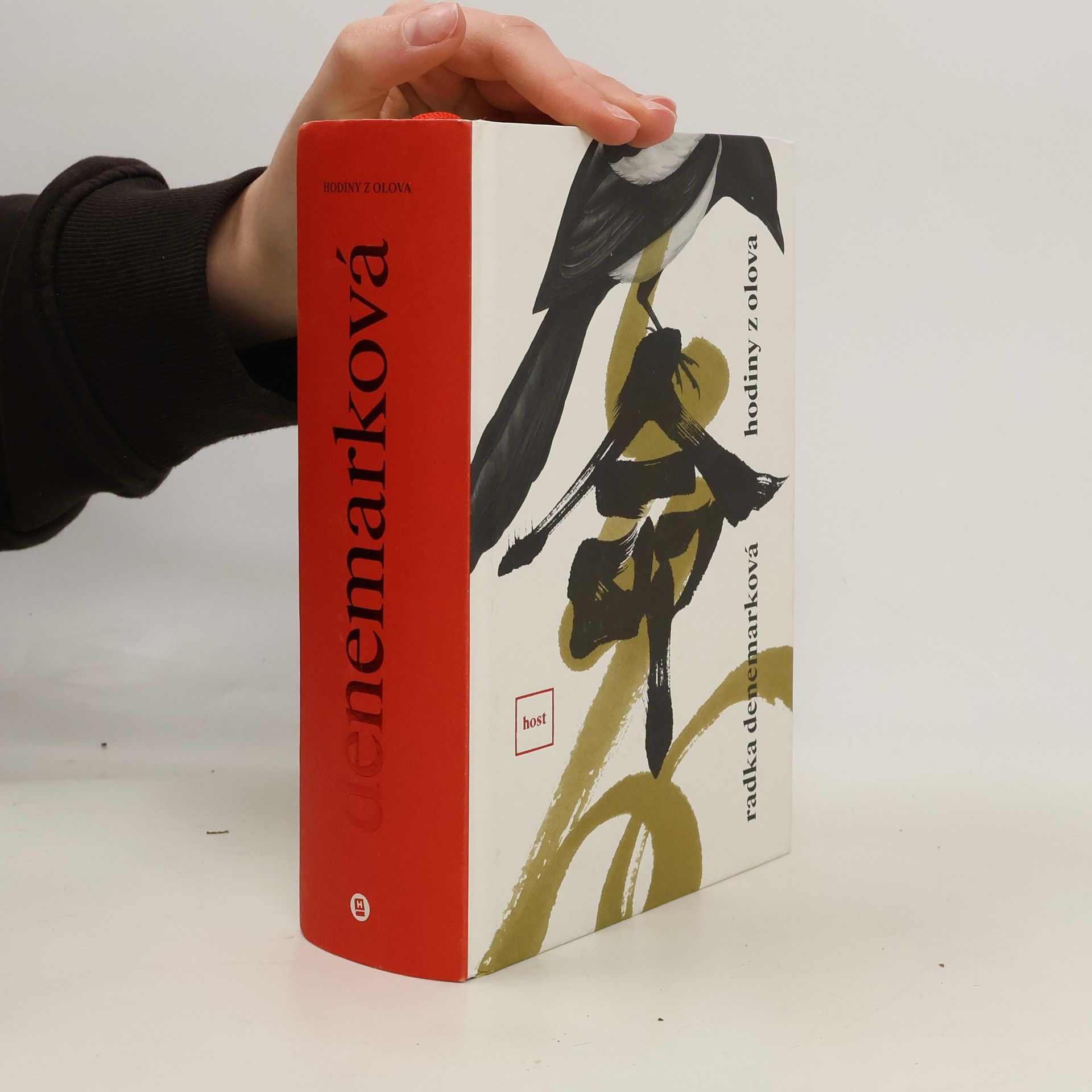 Radka Denemarková Hodiny z olova