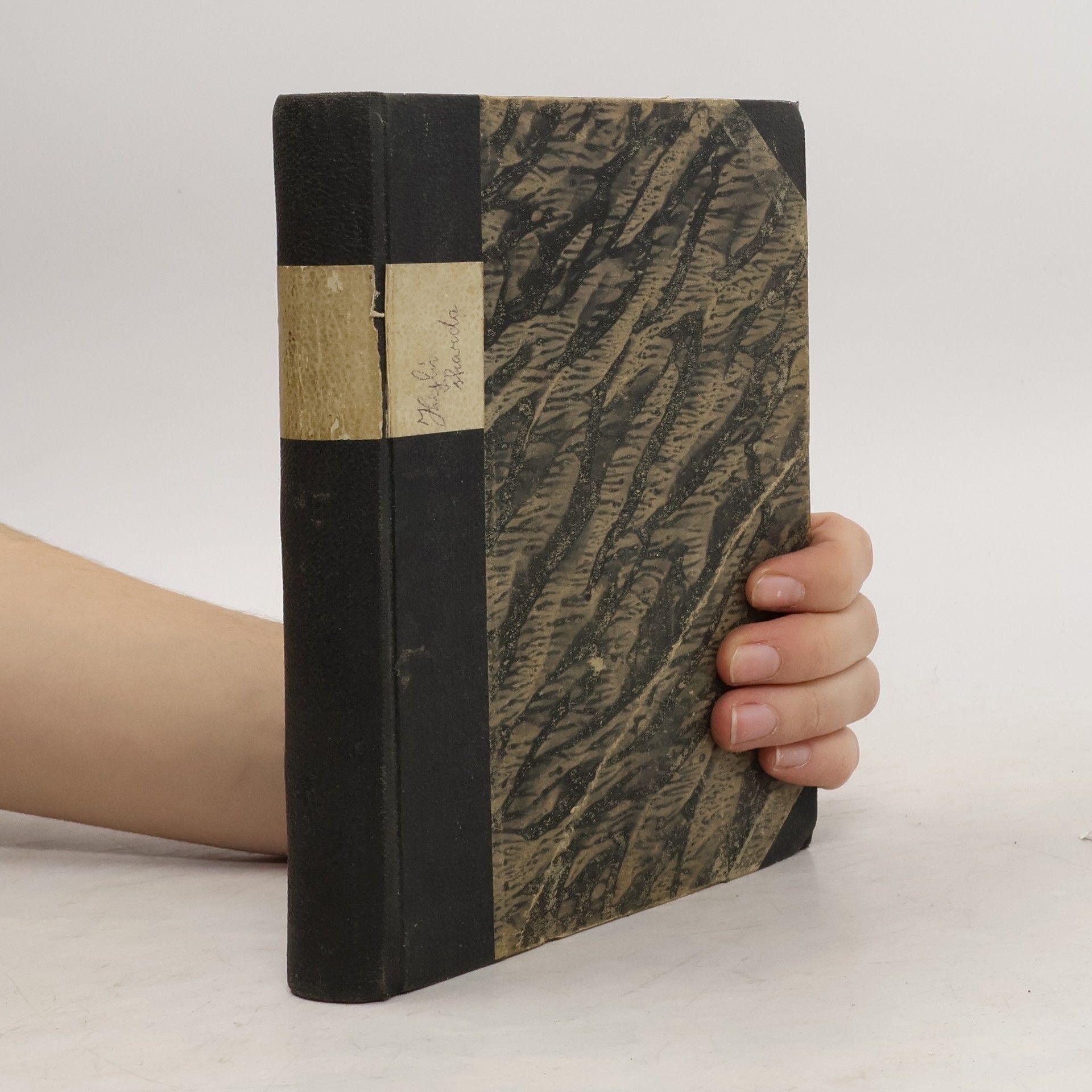 Vicente Blasco Ibáñez Ráj žen