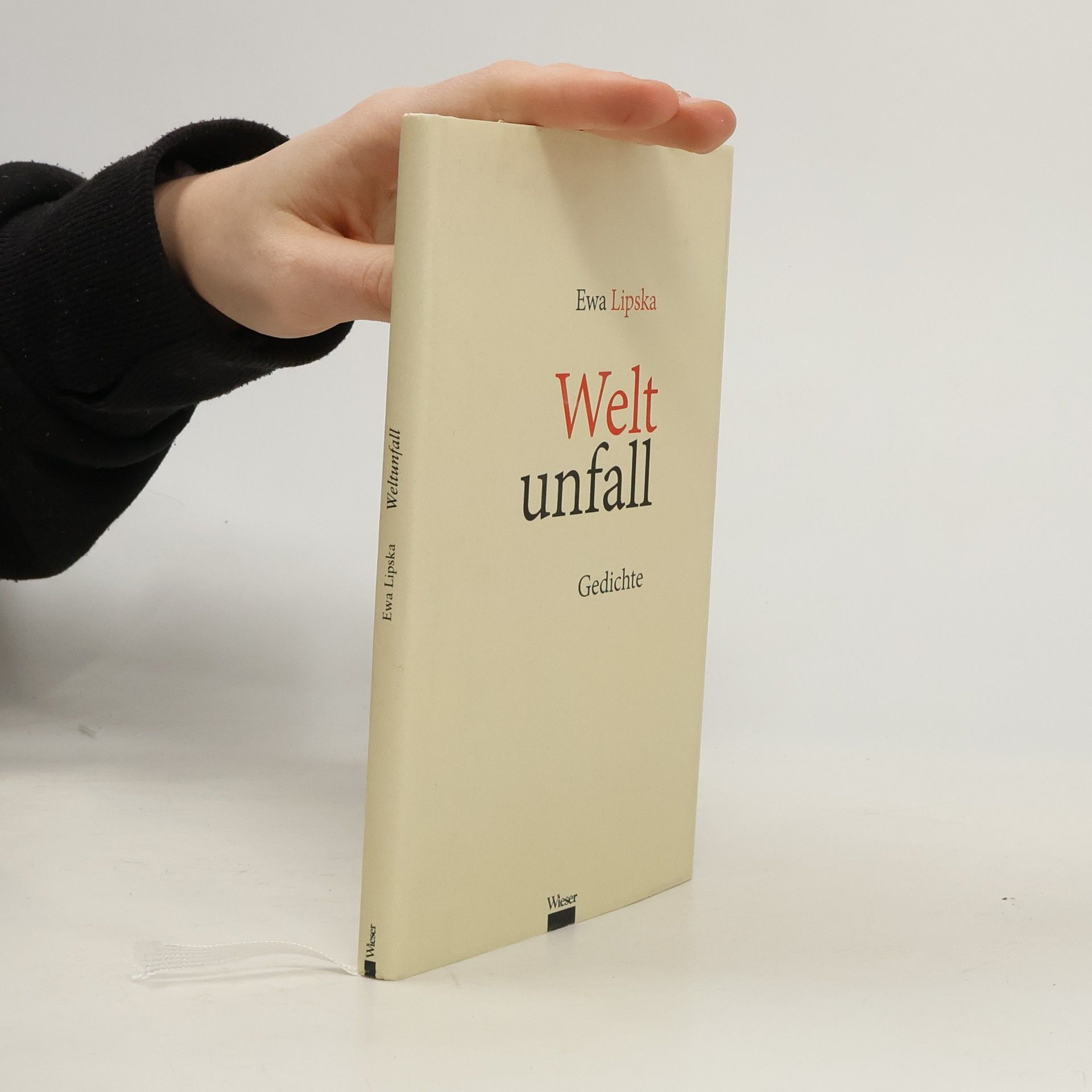 Ewa Lipska Weltunfall