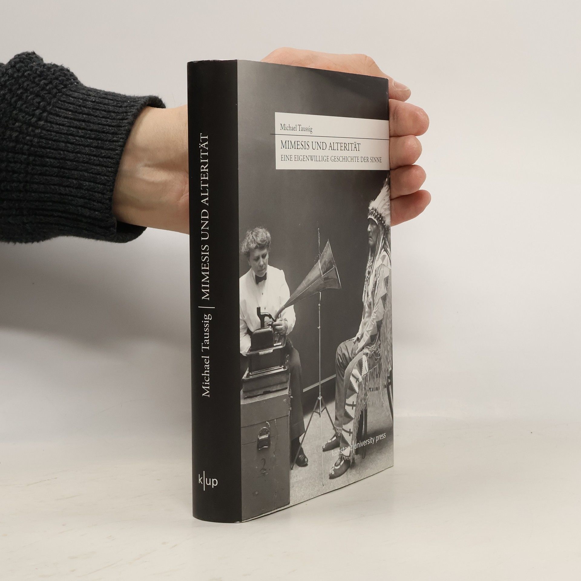 Mimesis und Alterität