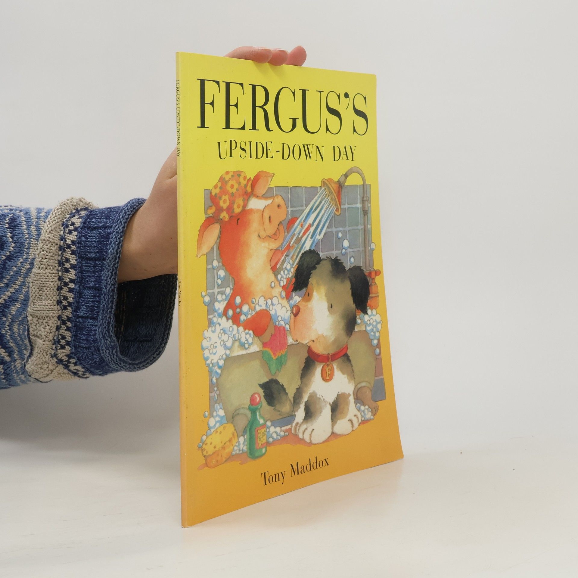 Fergus's Upside-Down Day