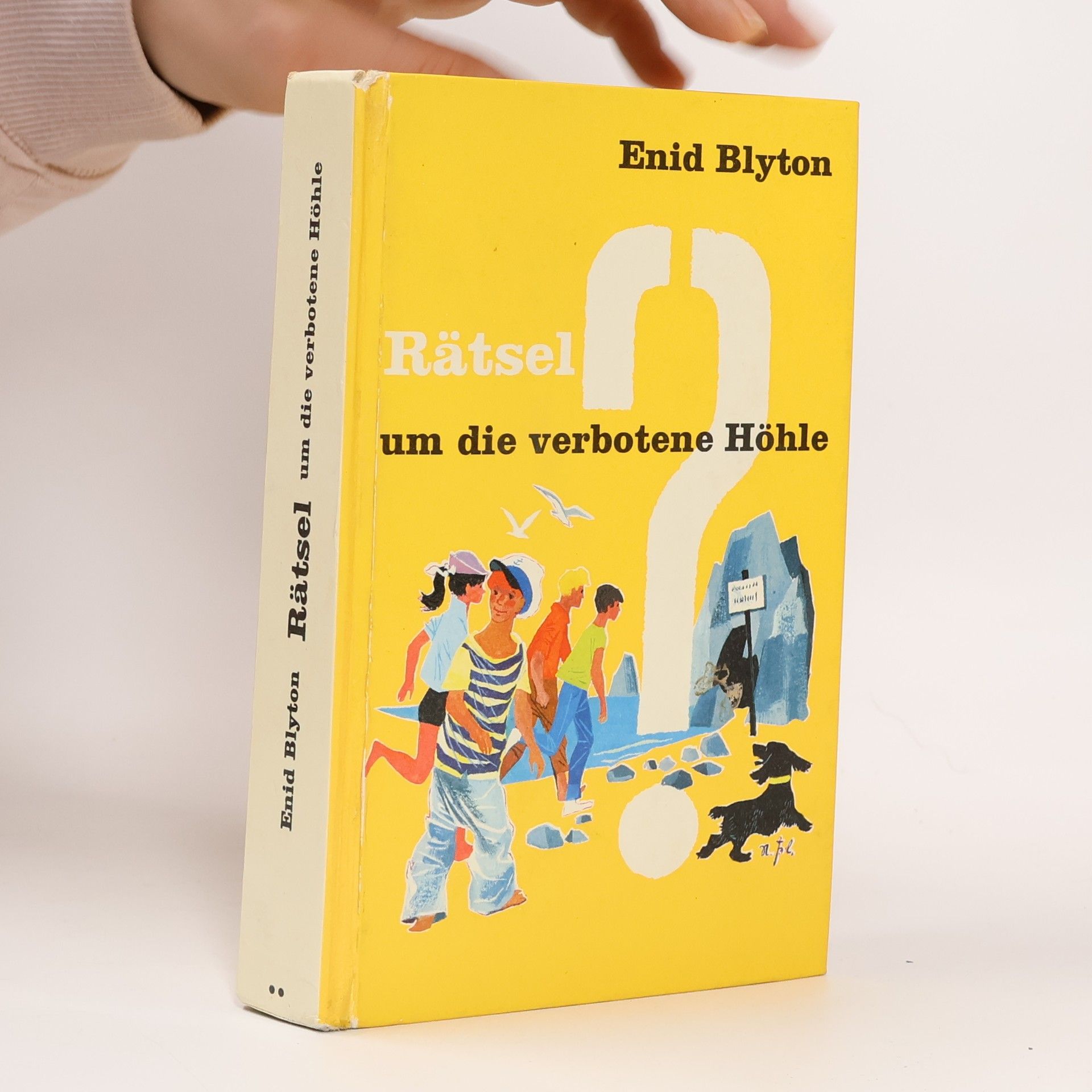 Enid Blyton Rätsel um die verbotene Höhle