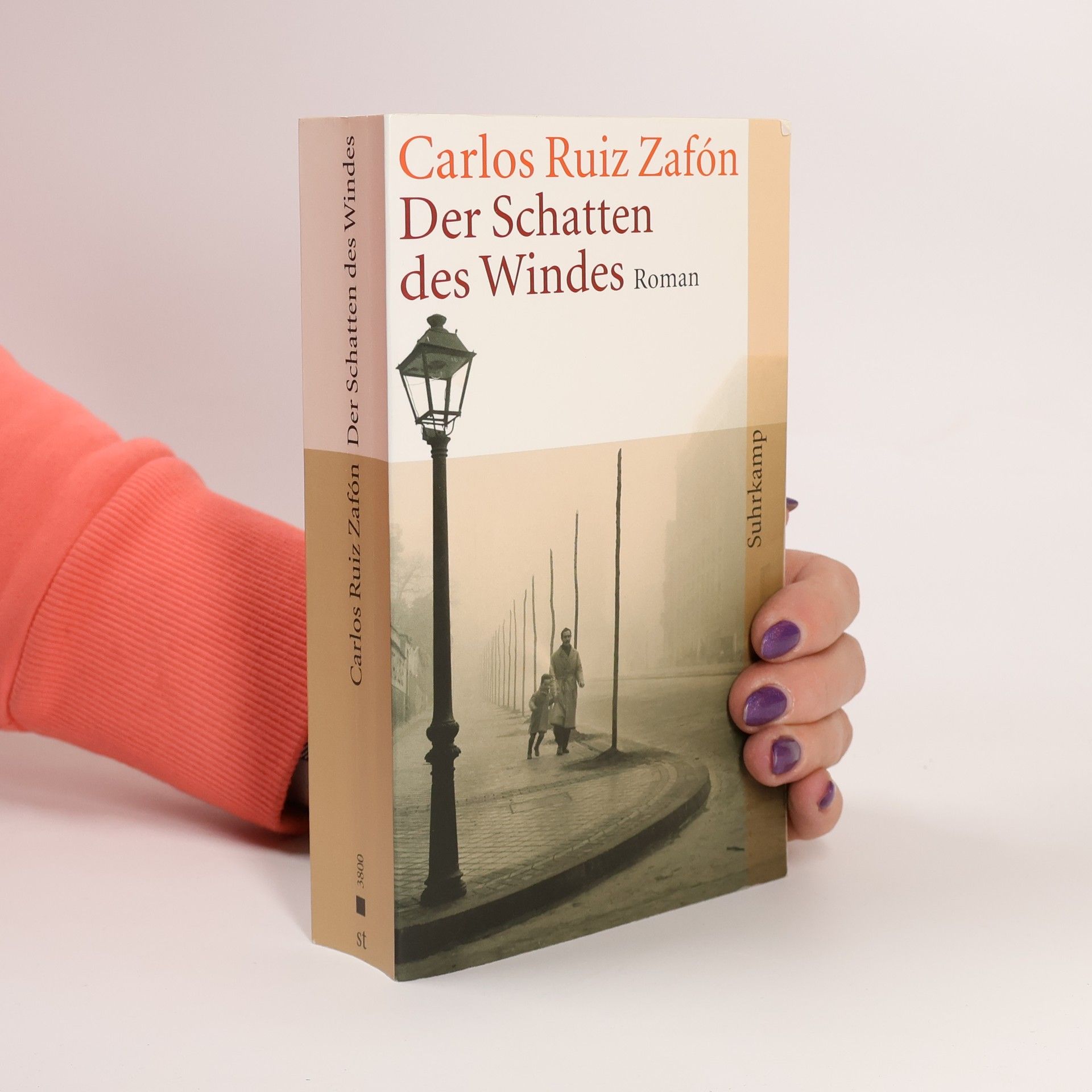 Carlos Ruiz Zafón Der Schatten des Windes