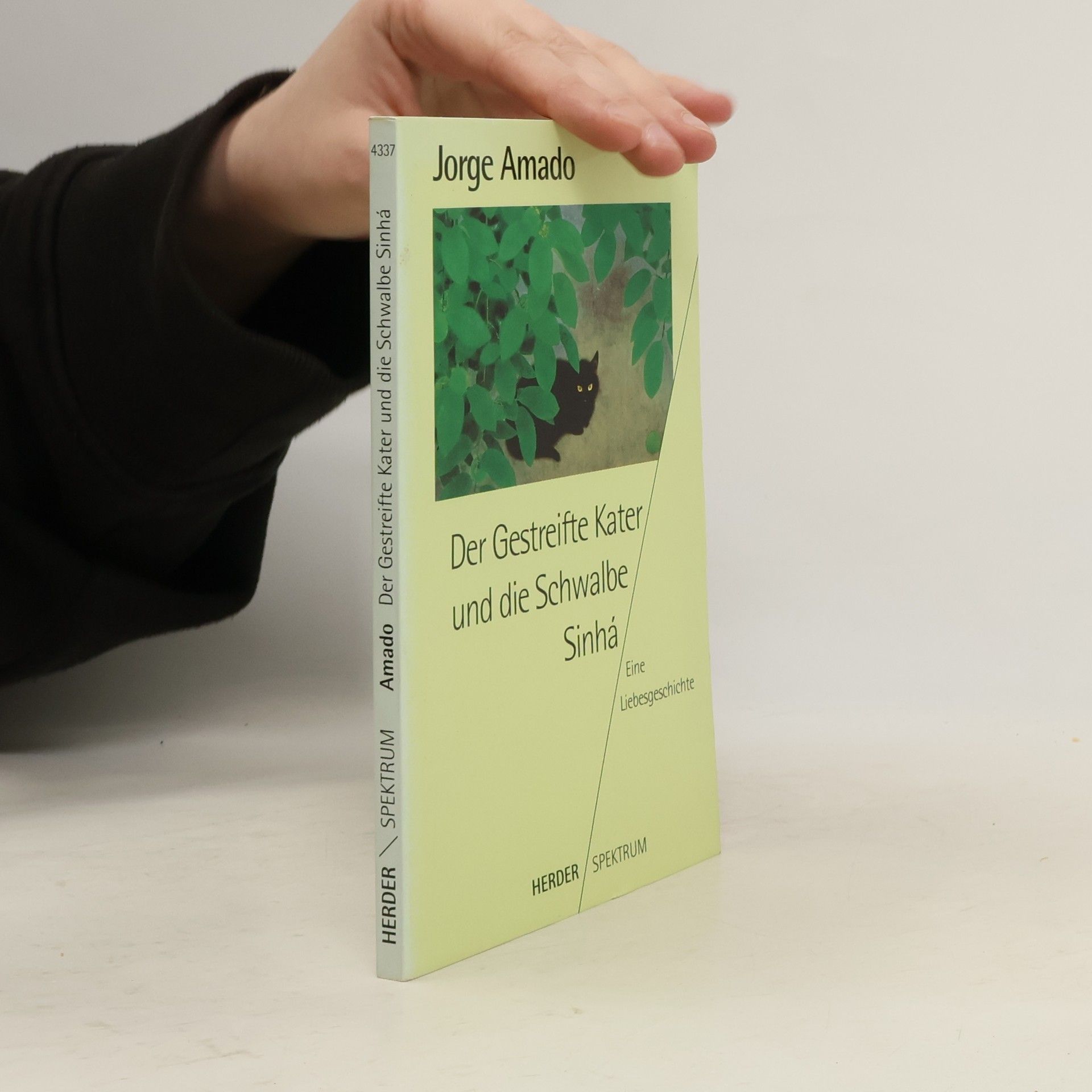 Jorge Amado Der gestreifte Kater und die Schwalbe Sinhá