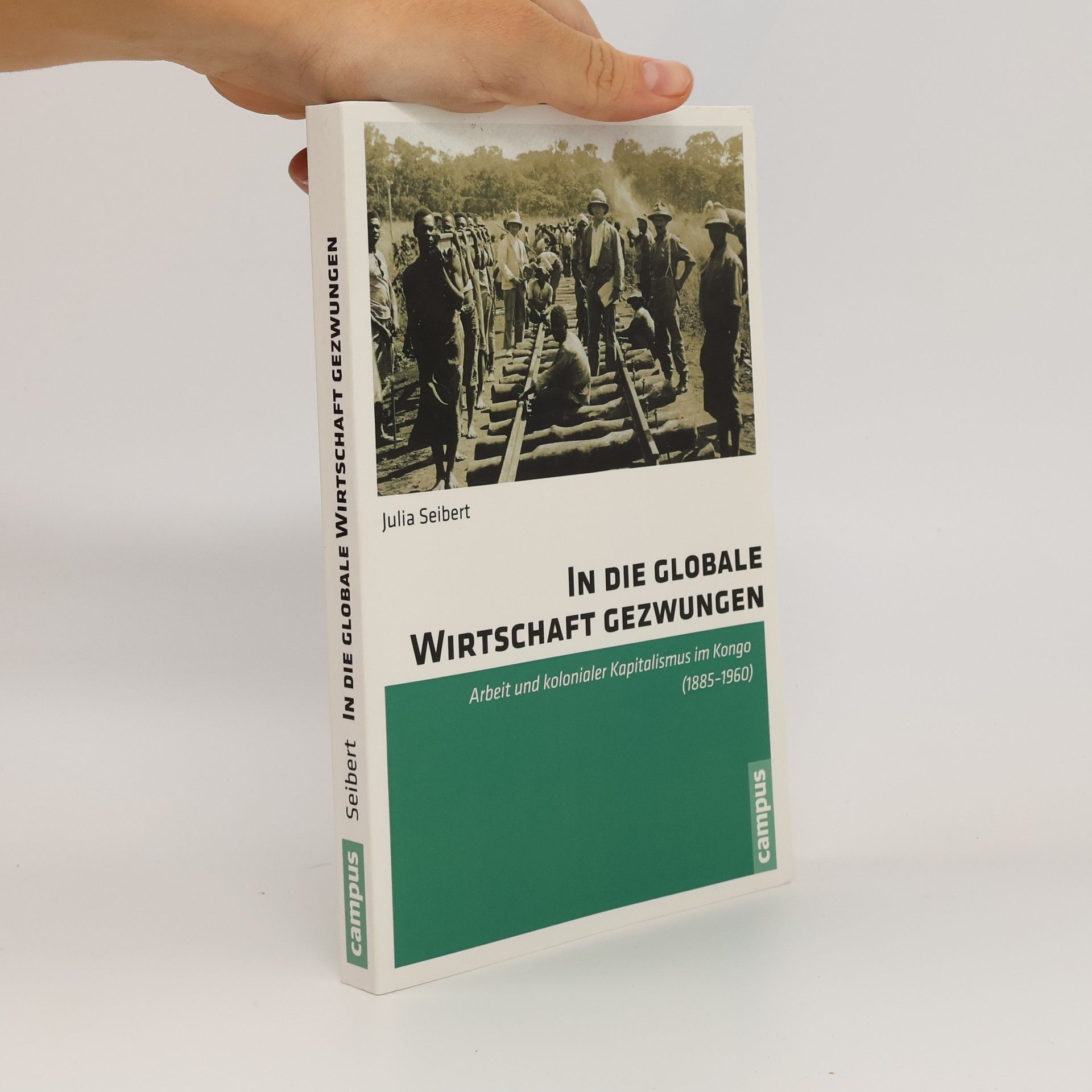 Julia Seibert In die globale Wirtschaft gezwungen