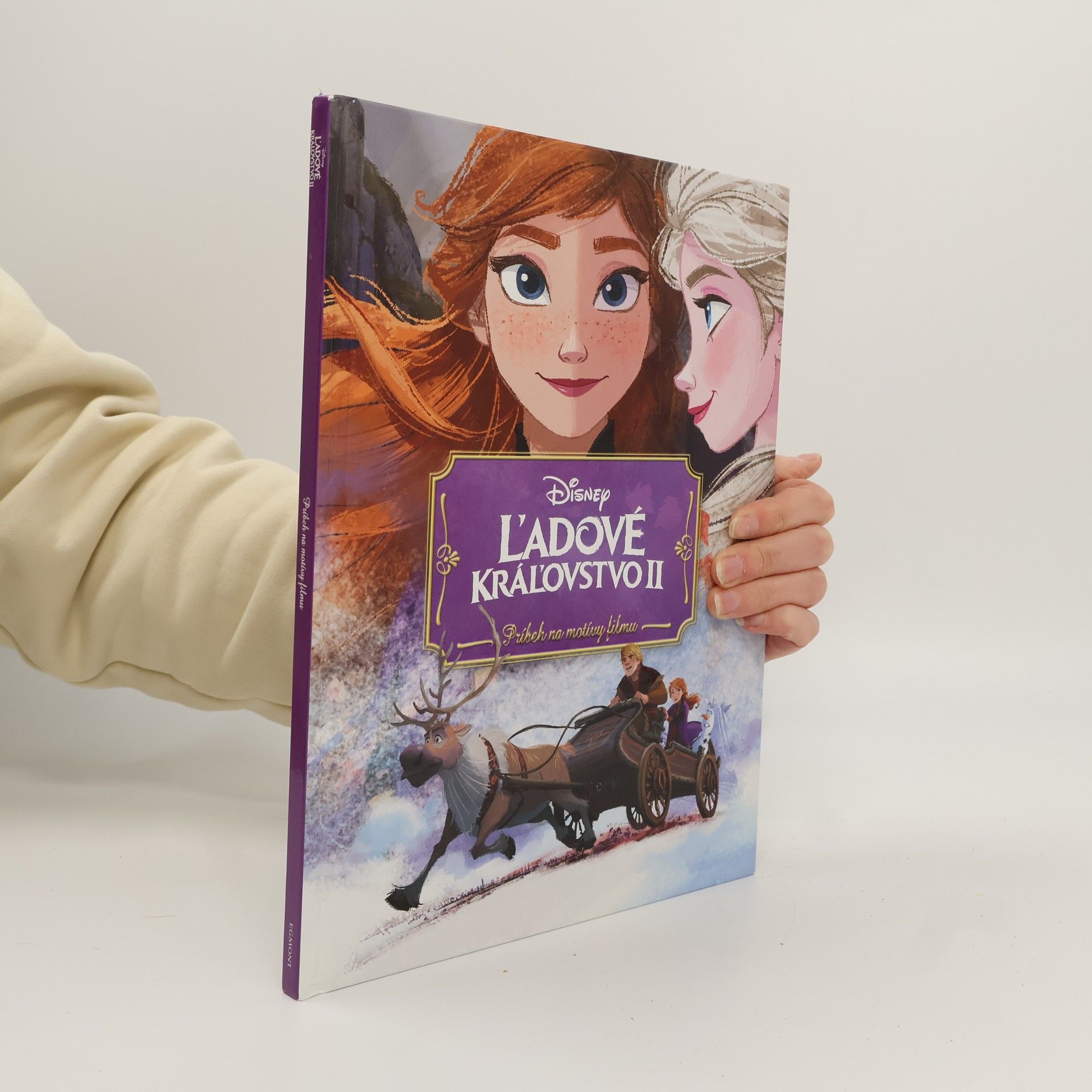 Kolektív autorov Ľadové kráľovstvo 2