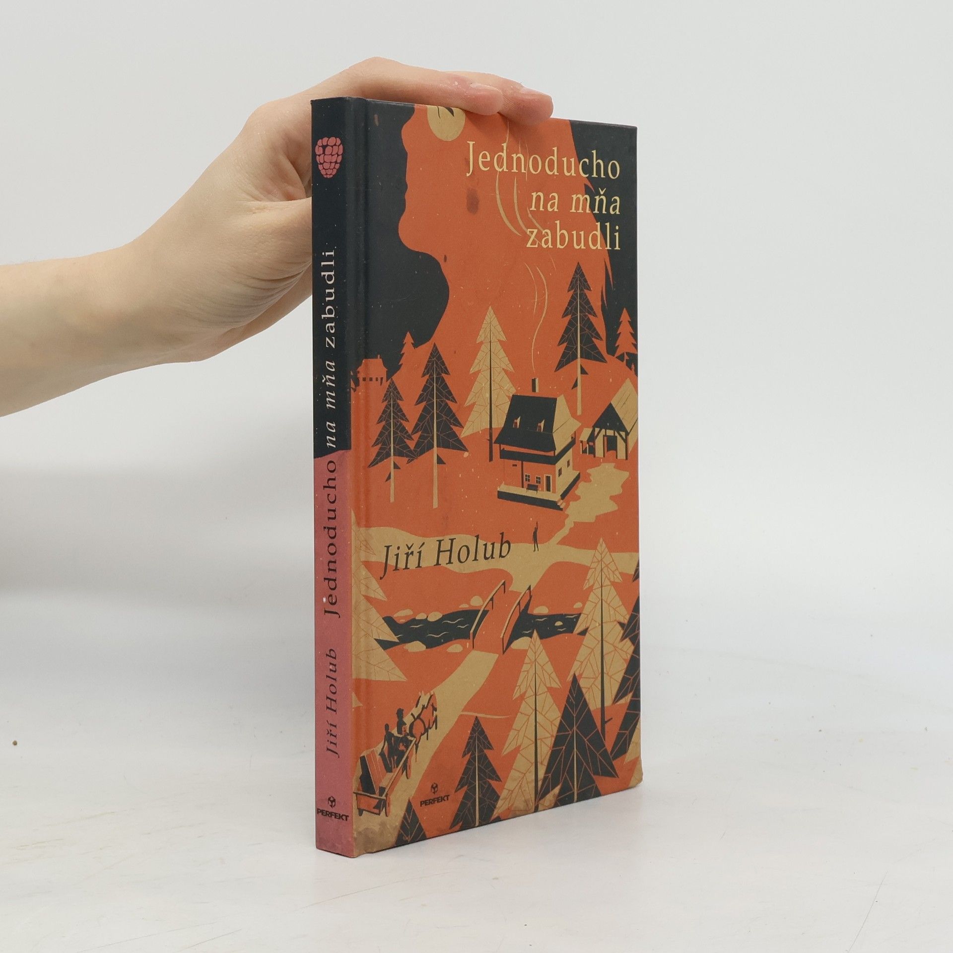 Jiří Holub Jednoducho na mňa zabudli