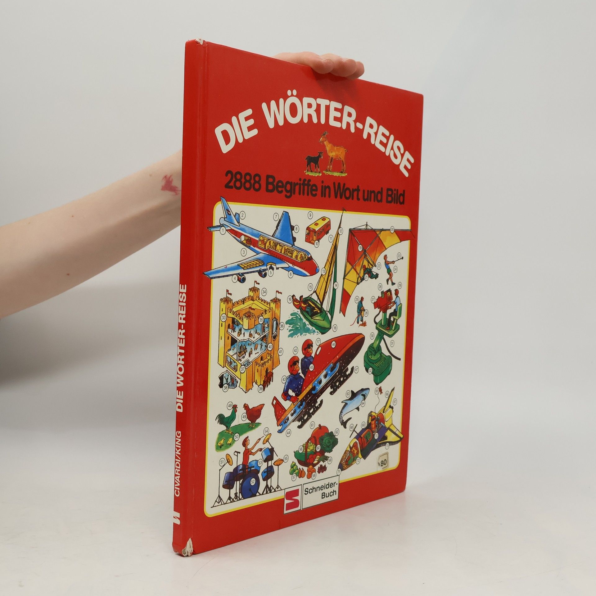 Anne Civardi Die Wörter-Reise