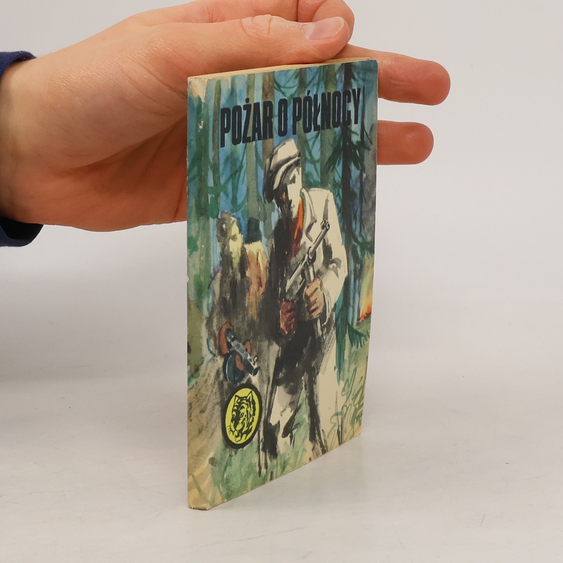 Collectif d'auteurs Poźar o połnocy