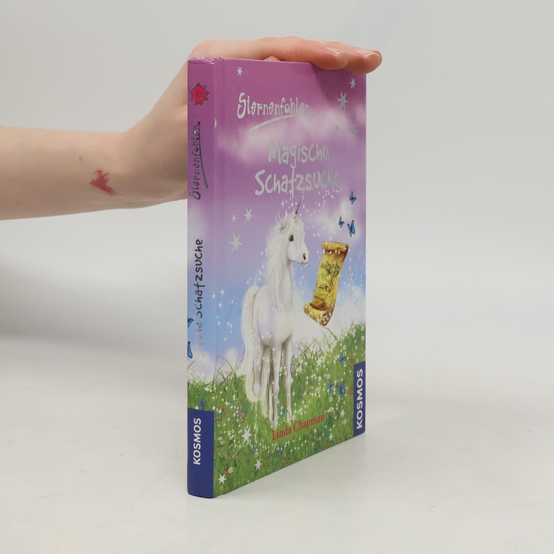 Linda Chapman Magische Schatzsuche