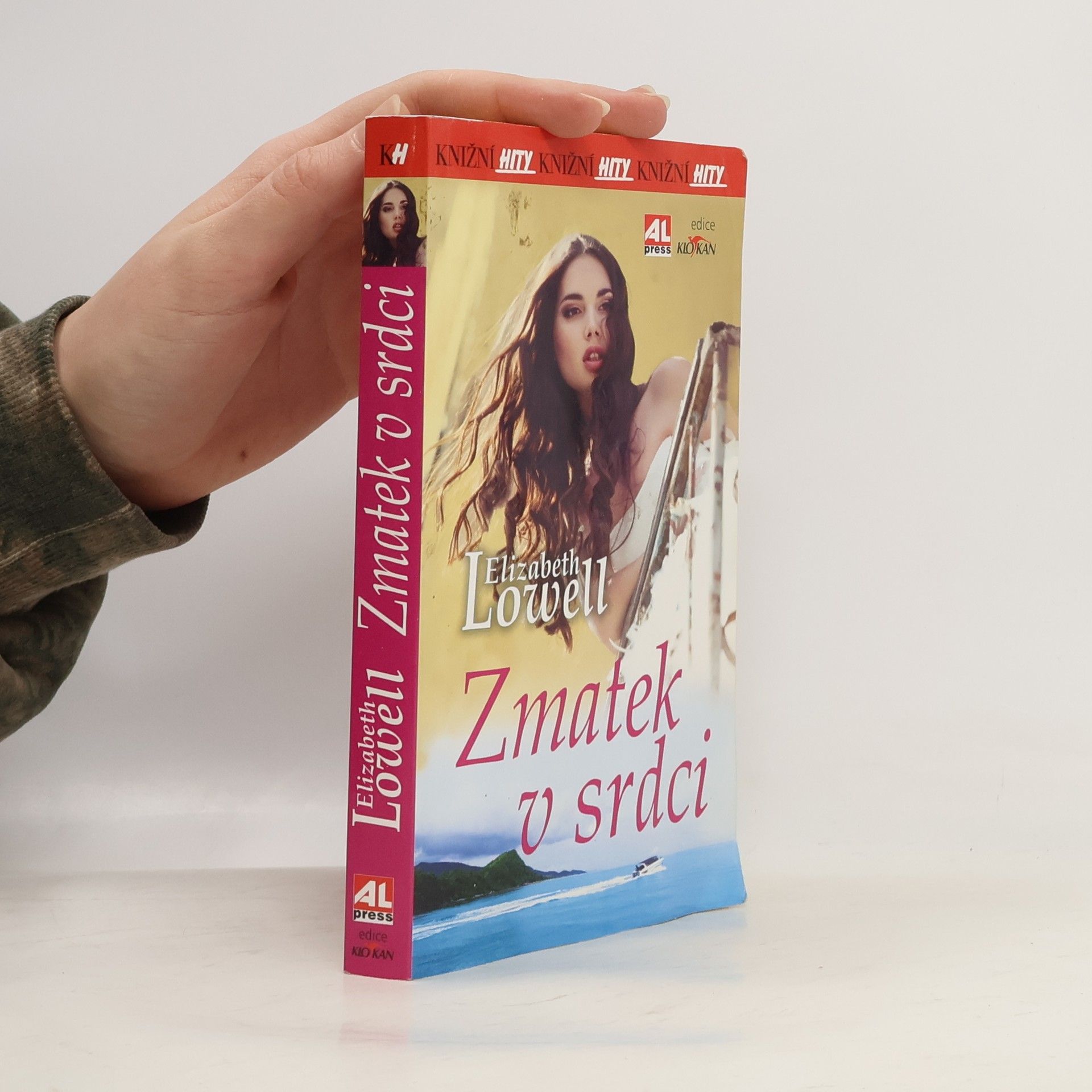 Ann Maxwell Zmatek v srdci