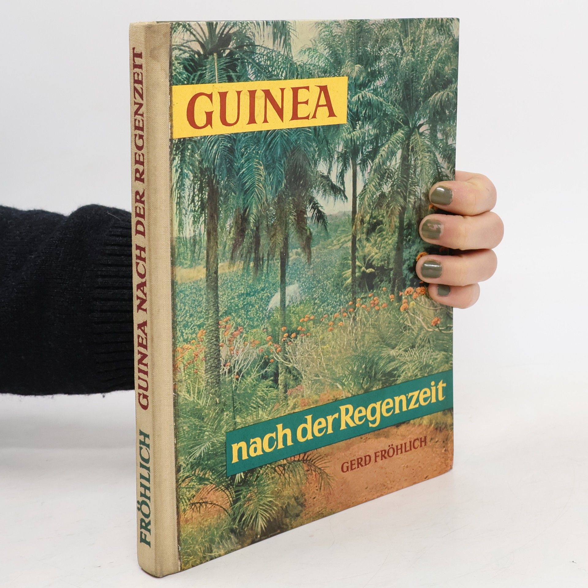 Gerd Froelich Guinea nach der Regenzeit