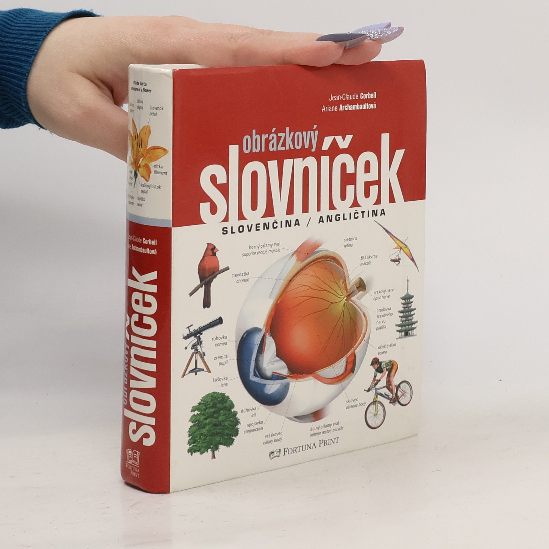 Ariane Archambault Obrázkový slovníček, Slovenčina / Angličtina