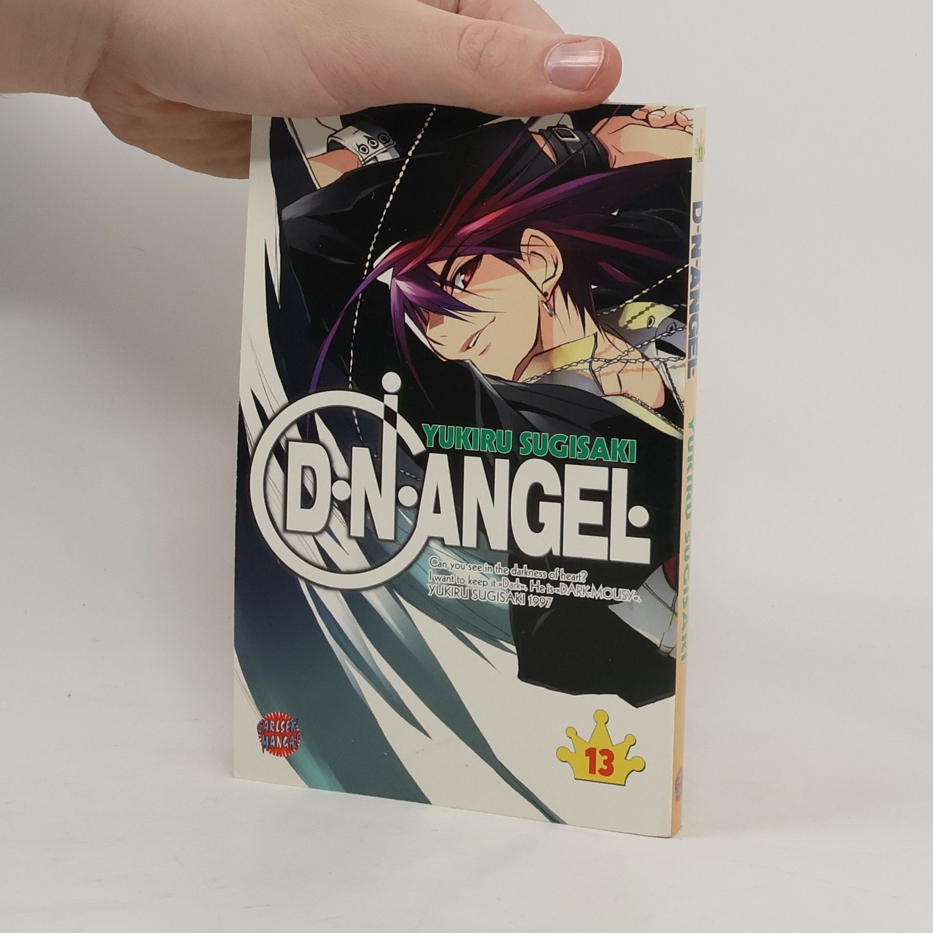 Yukiru Sugisaki D. N. Angel 13