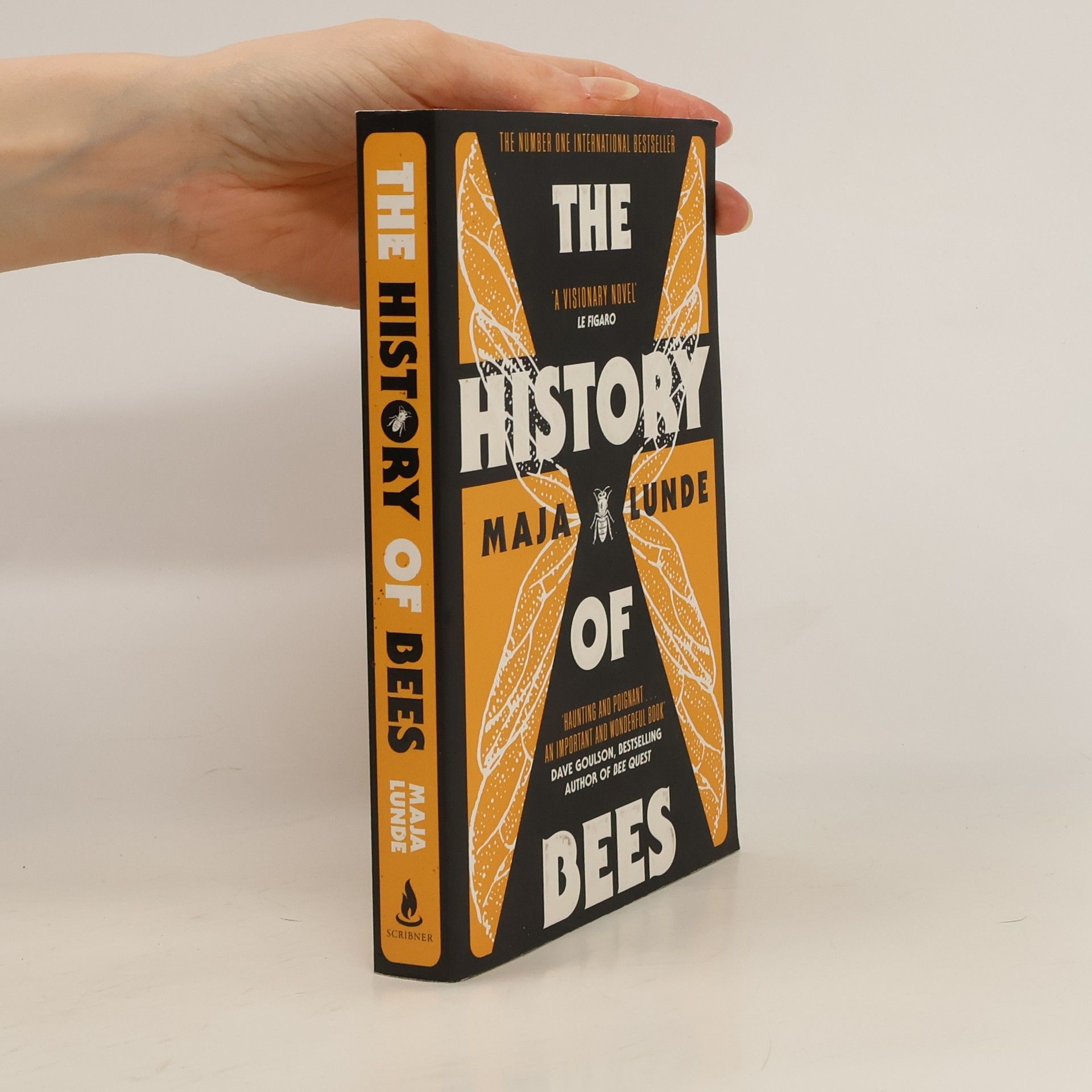The history of bees