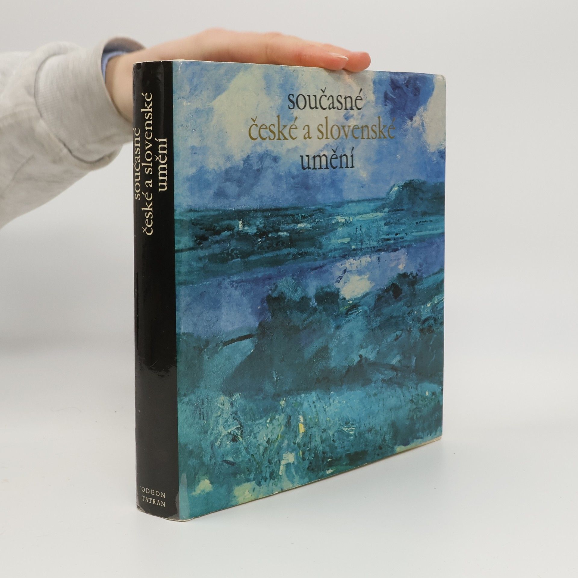 Autores varios Současné české a slovenské umění