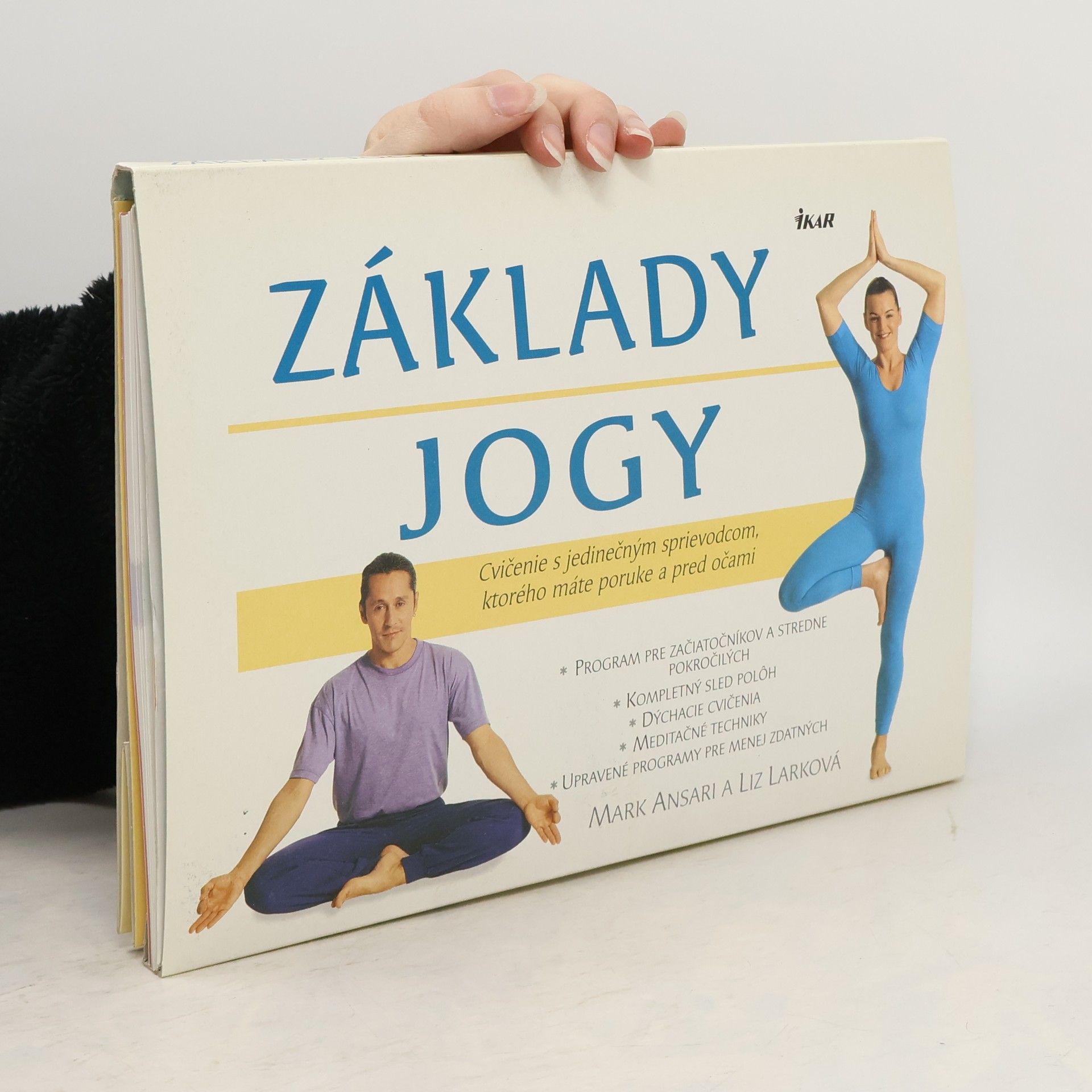 AA.VV. Základy jogy