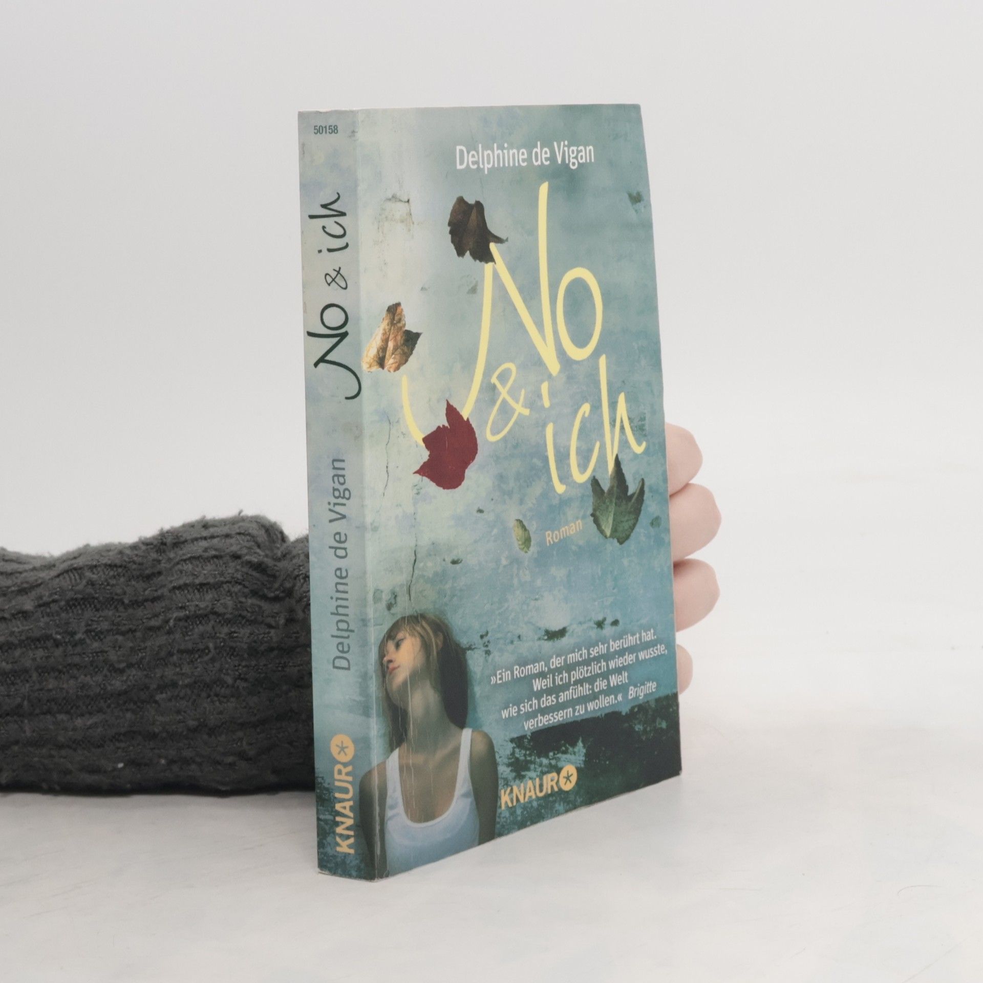 Delphine de Vigan No & ich