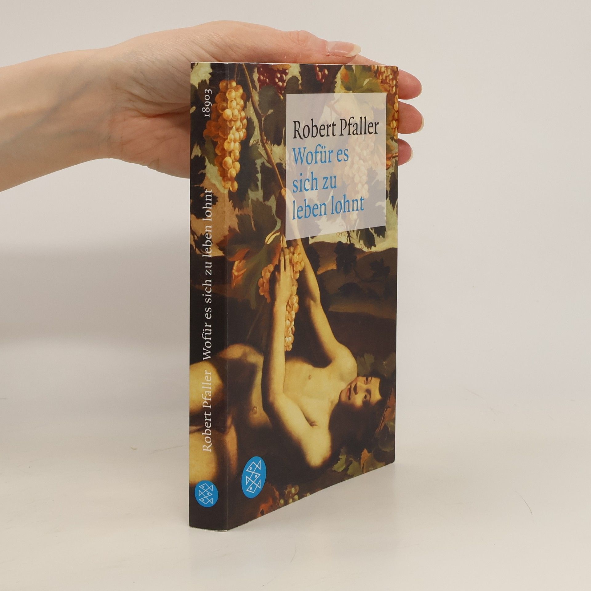 Robert Pfaller Wofür es sich zu leben lohnt