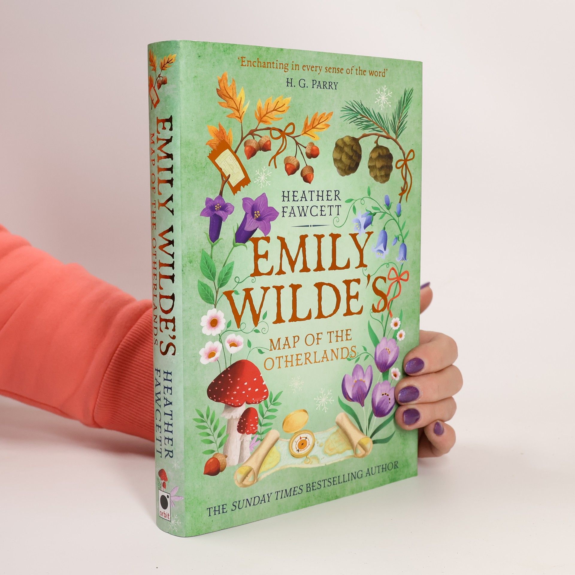 Emily Wilde's Map of the Otherlands