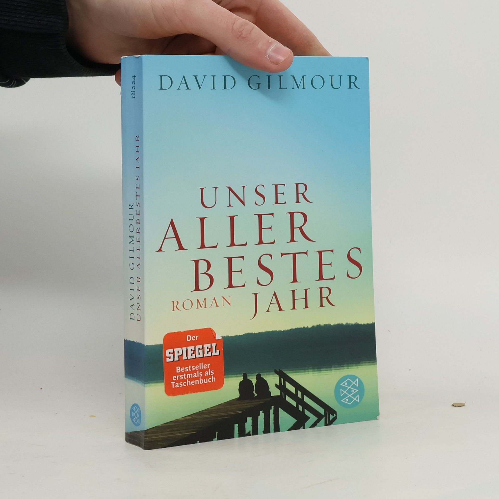 David Gilmour Unser allerbestes Jahr
