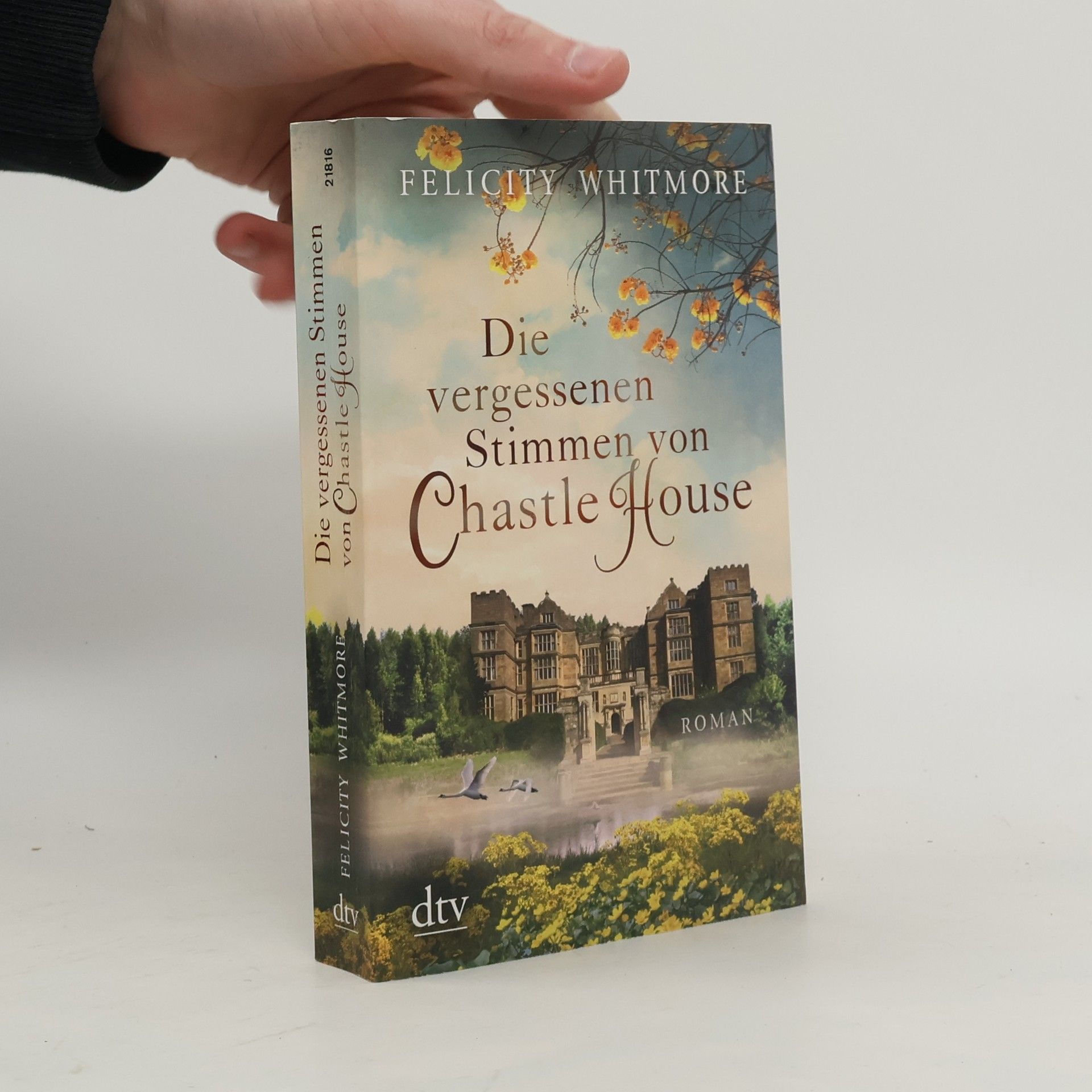 Felicity Whitmore Die vergessenen Stimmen von Chastle House