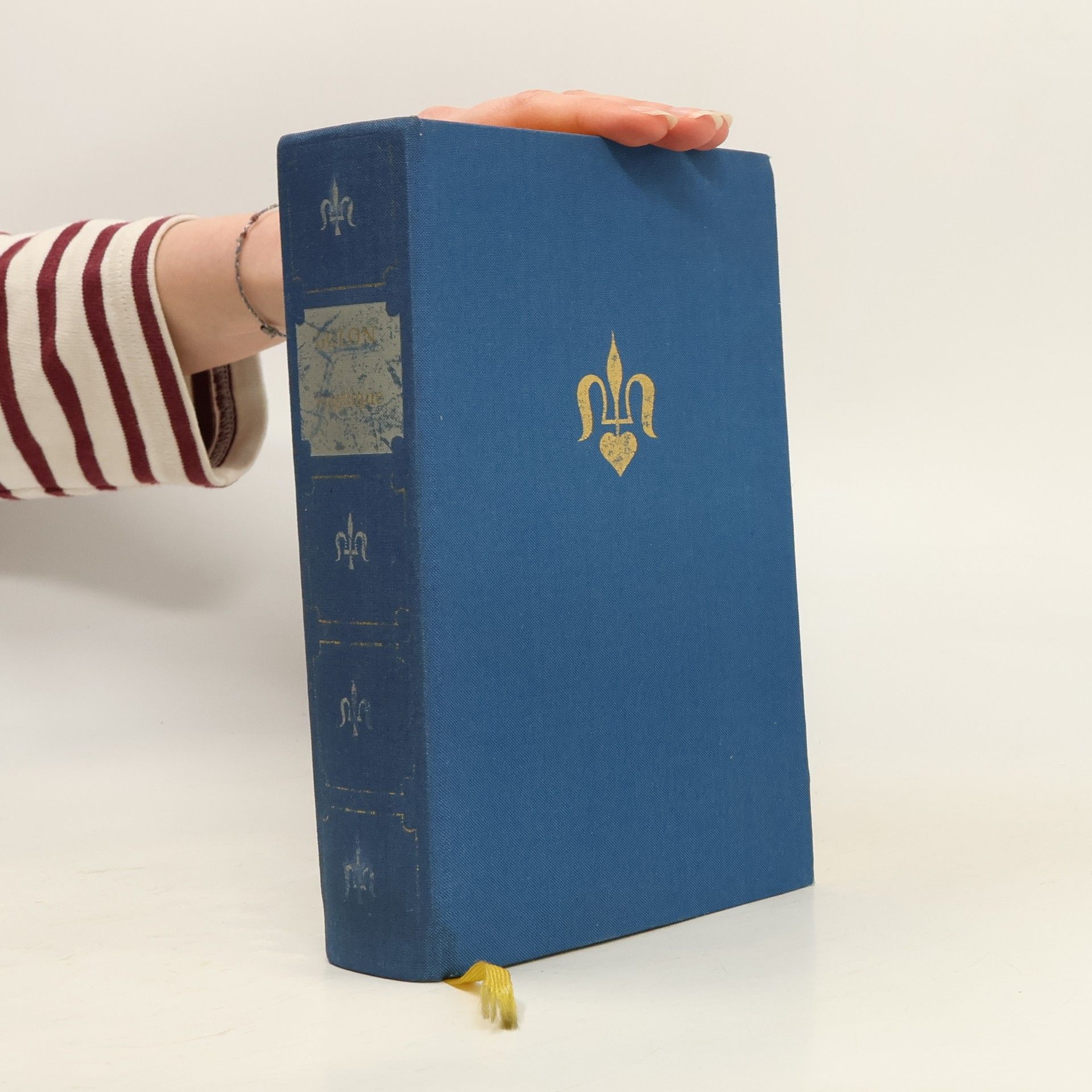 Anne Golon Angélique. Kindheit im Poitou 1