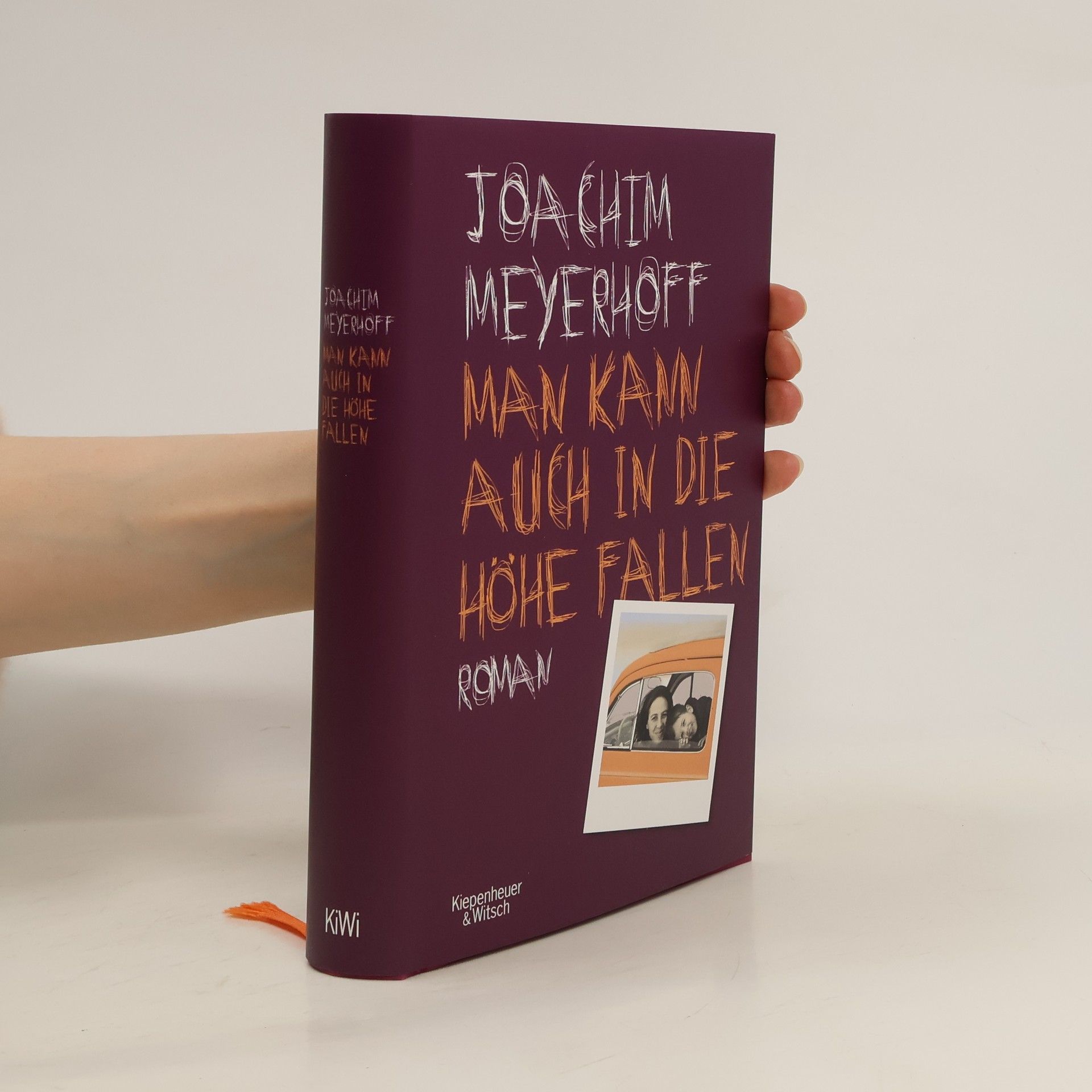 Joachim Meyerhoff Man kann auch in die Höhe fallen