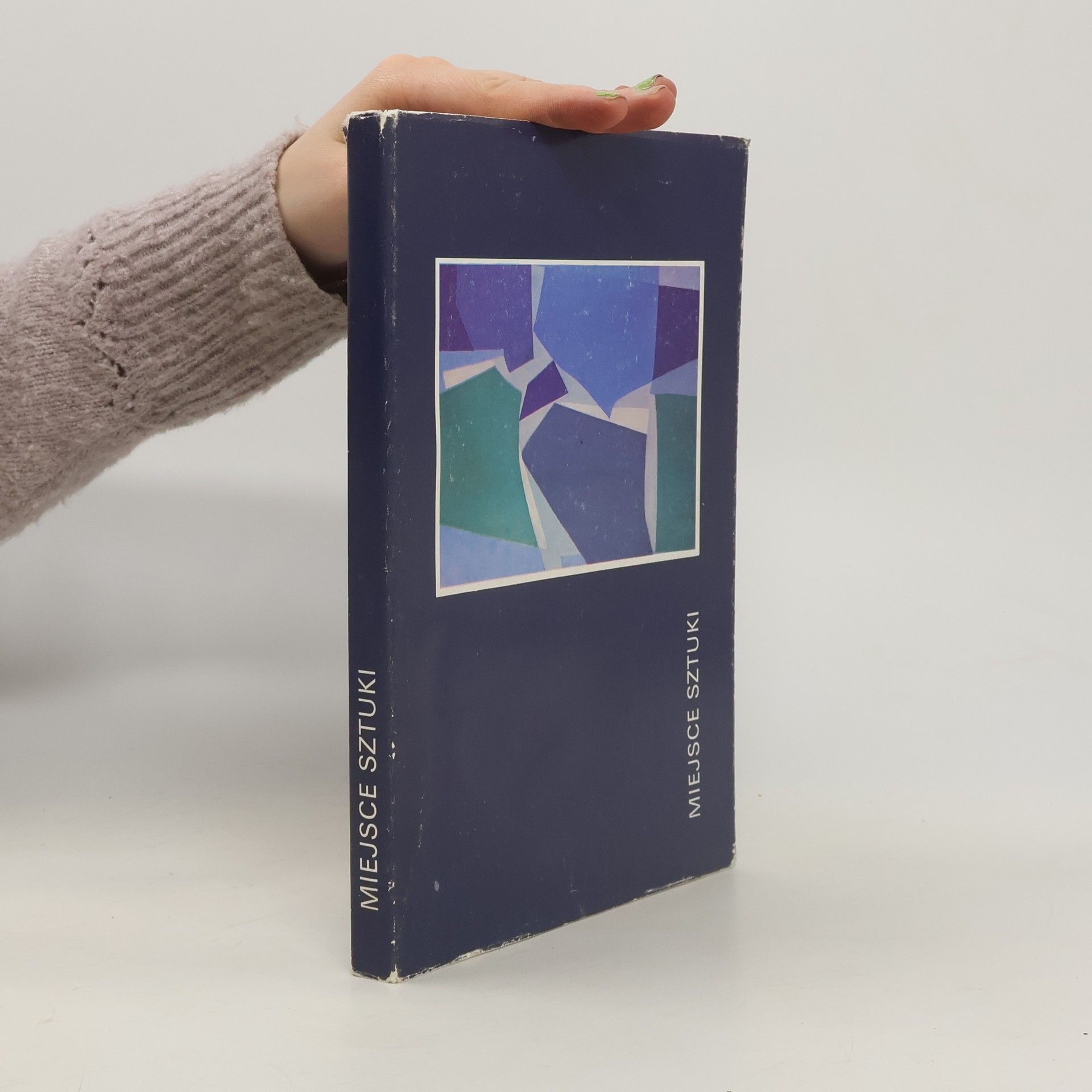 Autorenkollektiv Miejsce sztuki. Museum-Theatrum Sapientiae. Theatrum Animabile