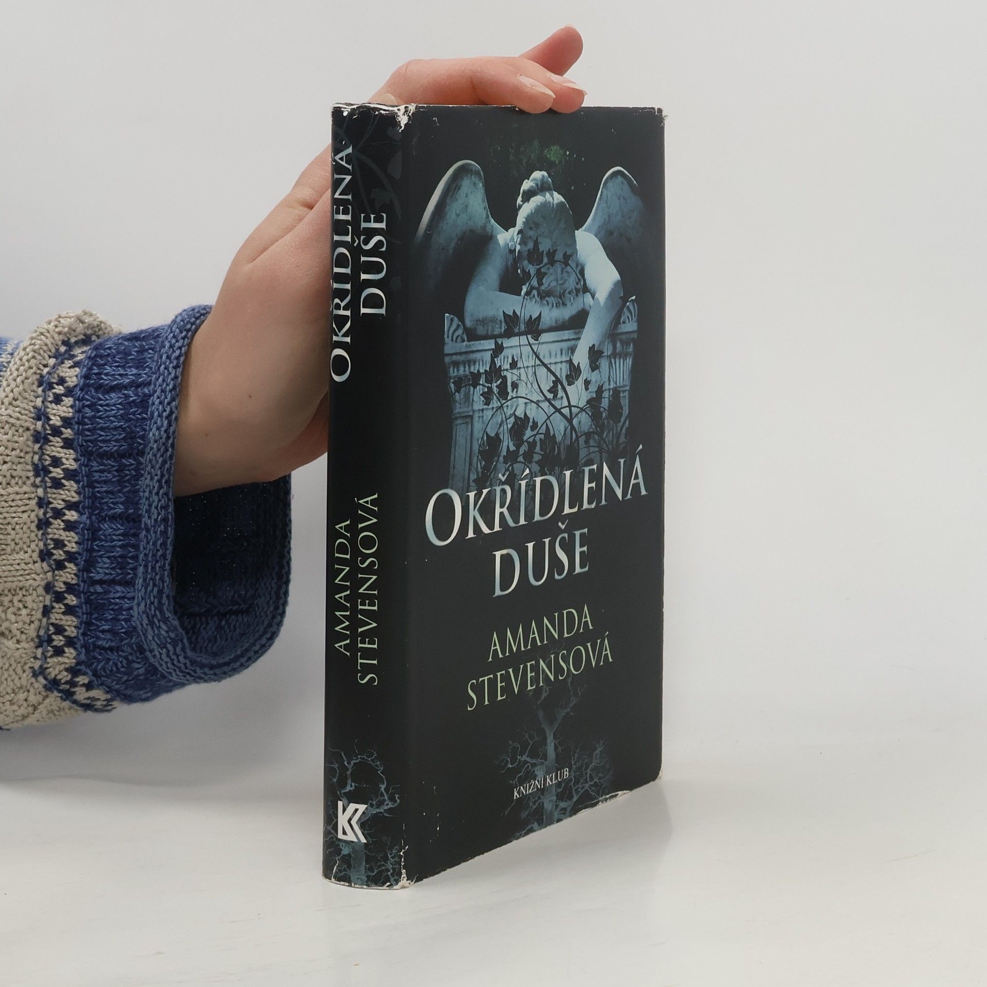 Amanda Stevens Okřídlená duše