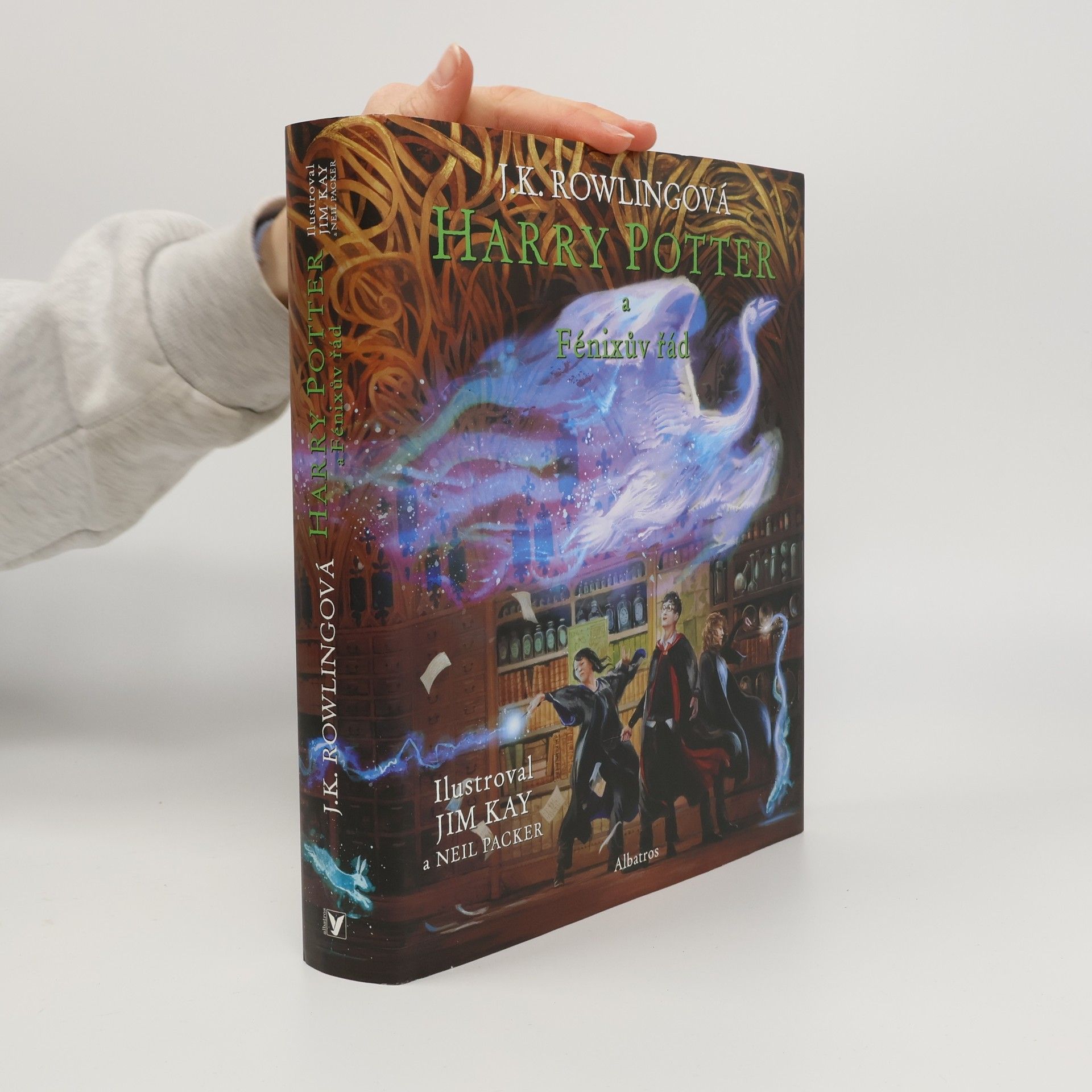 Harry Potter a Fénixův řád