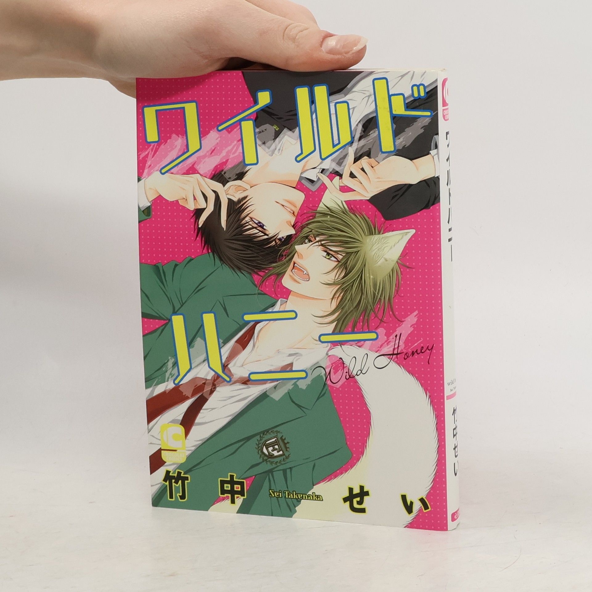 Sei Takenaka ワイルドハニー
