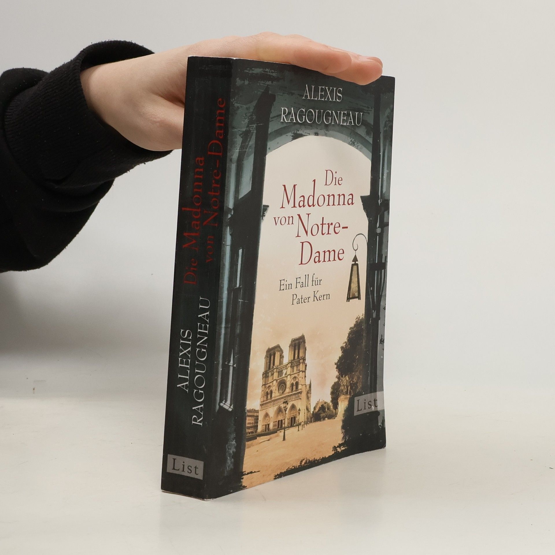 Alexis Ragougneau Die Madonna von Notre-Dame