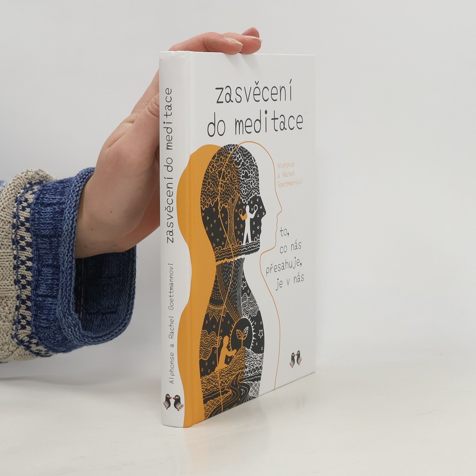 Zasvěcení do meditace : to, co nás přesahuje, je v nás