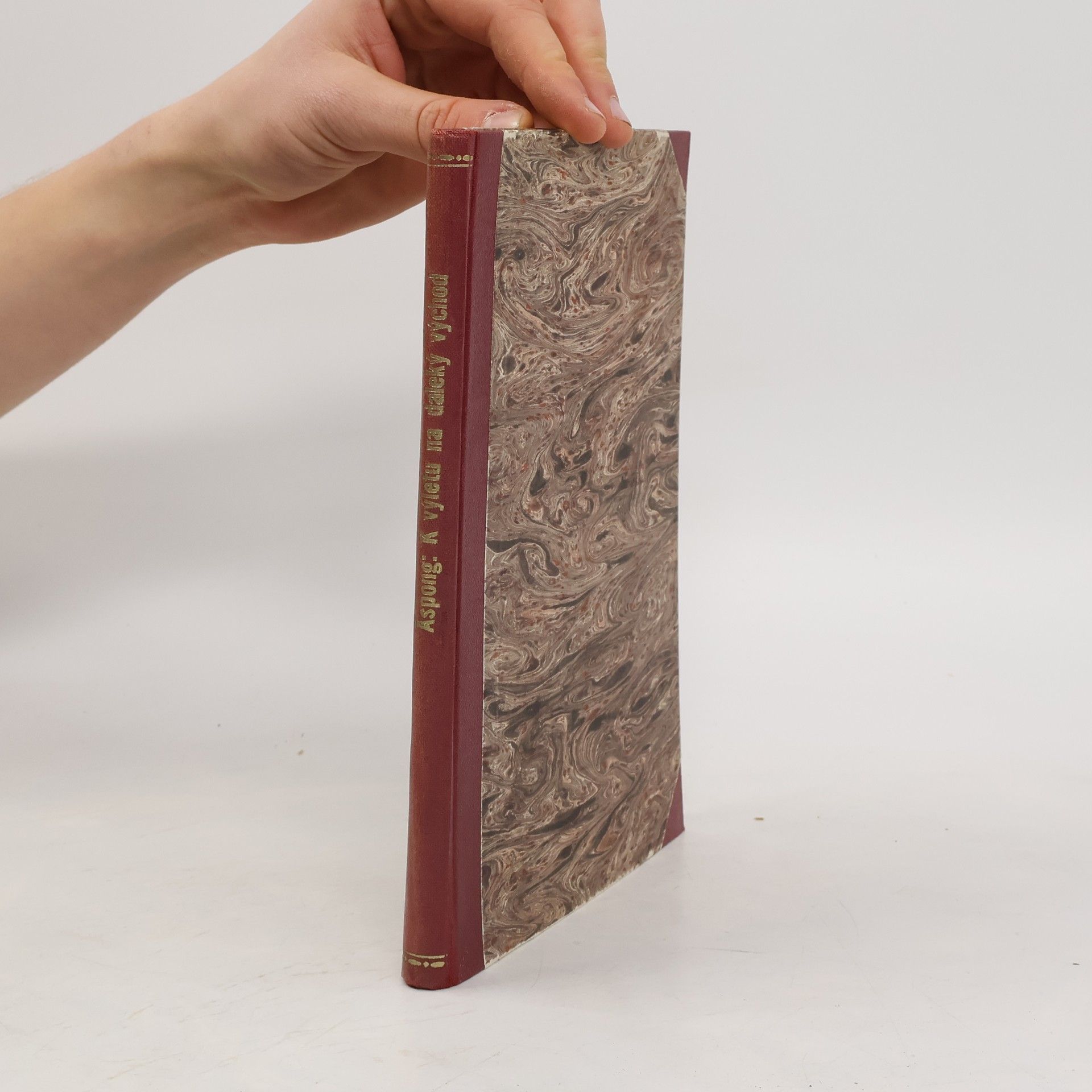 Josef Seilern Z výletu na daleký východ