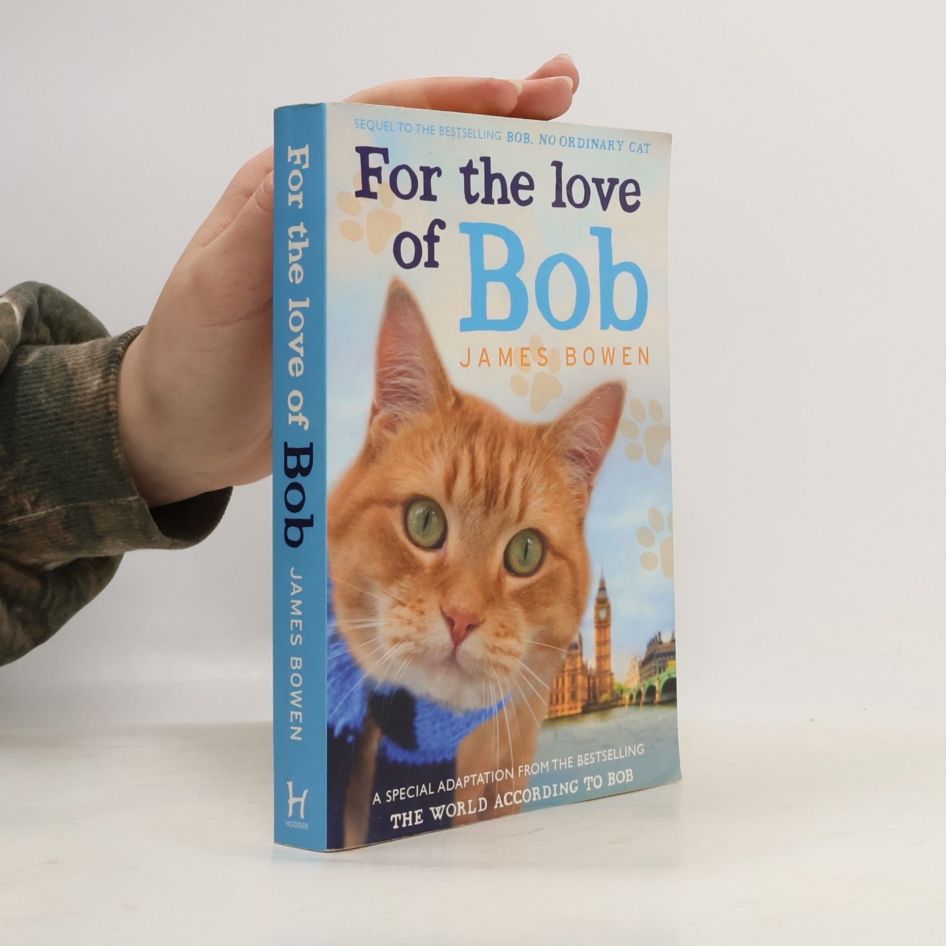 James Bowen For the Love of Bob