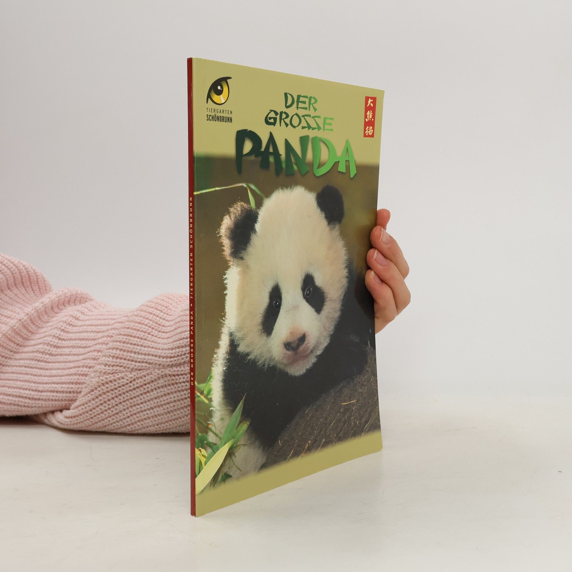 Collectif d'auteurs Der grosse Panda