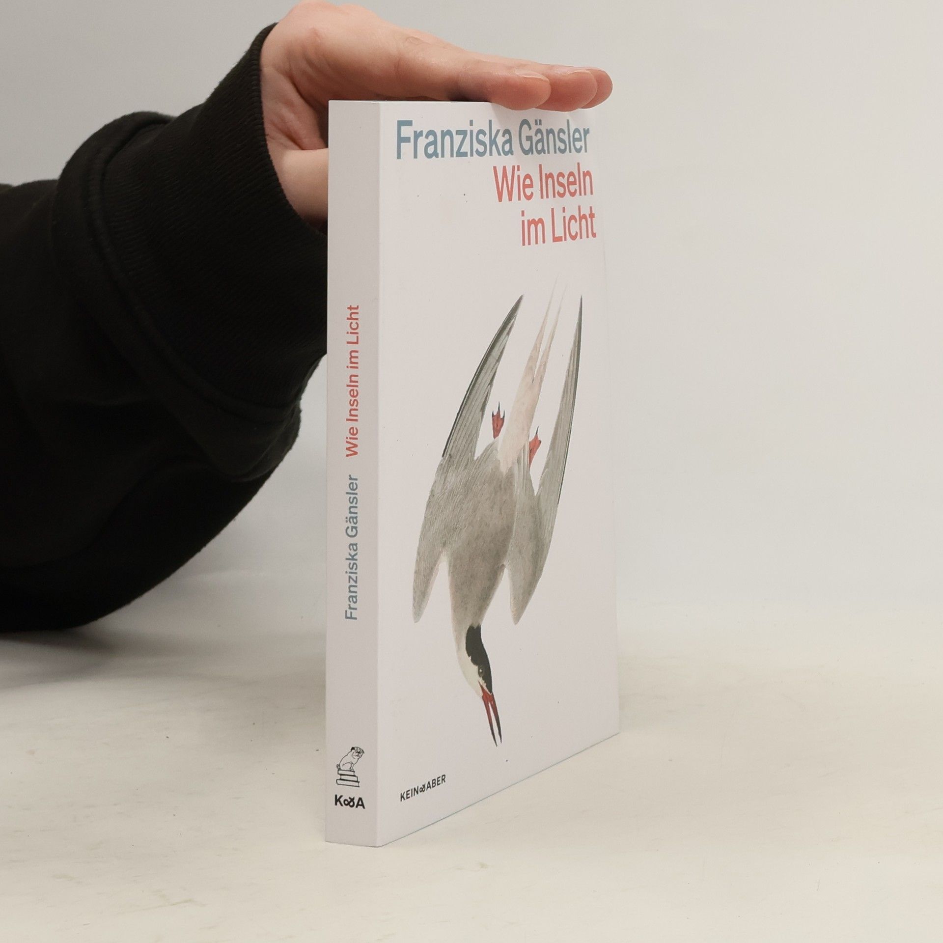 Franziska Gänsler Wie Inseln im Licht
