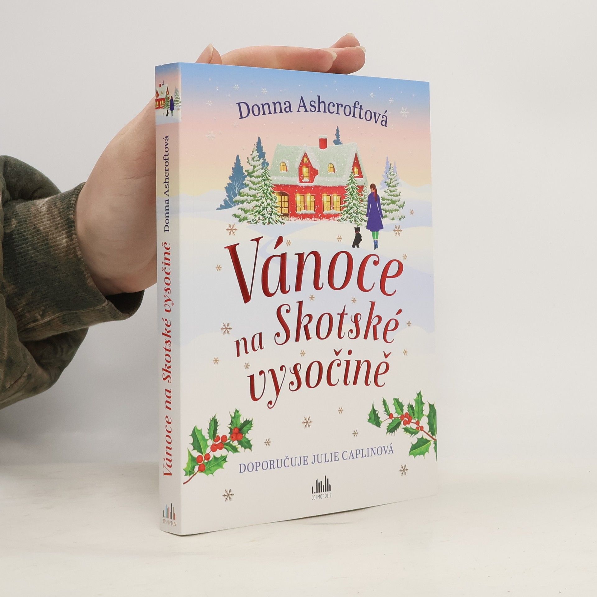 Donna Ashcroft Vánoce na Skotské vysočině