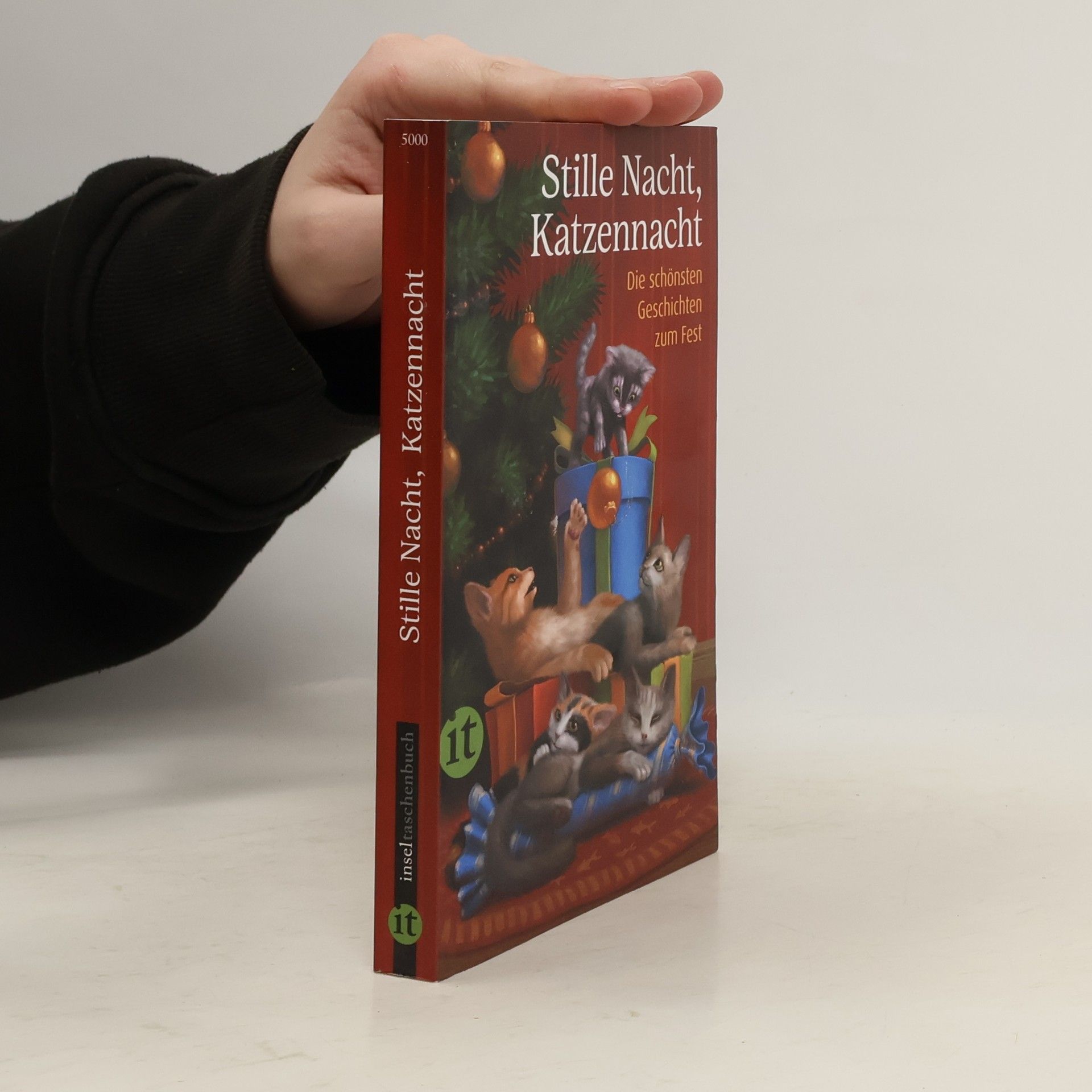 Gesine Dammel Stille Nacht, Katzennacht