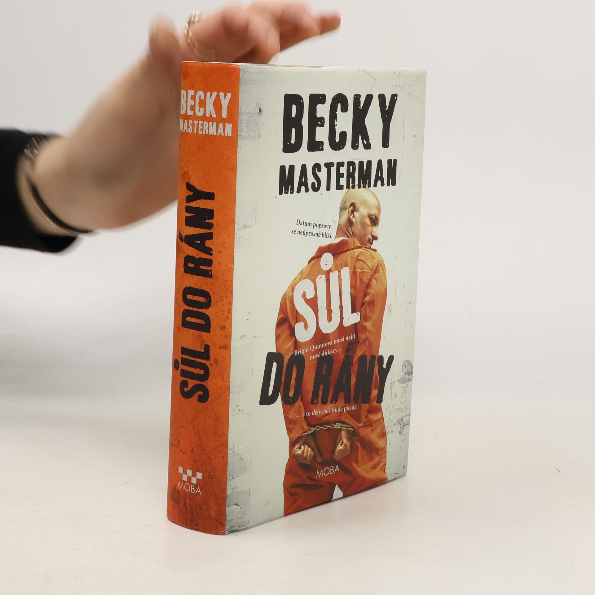 Becky Masterman Sůl do rány