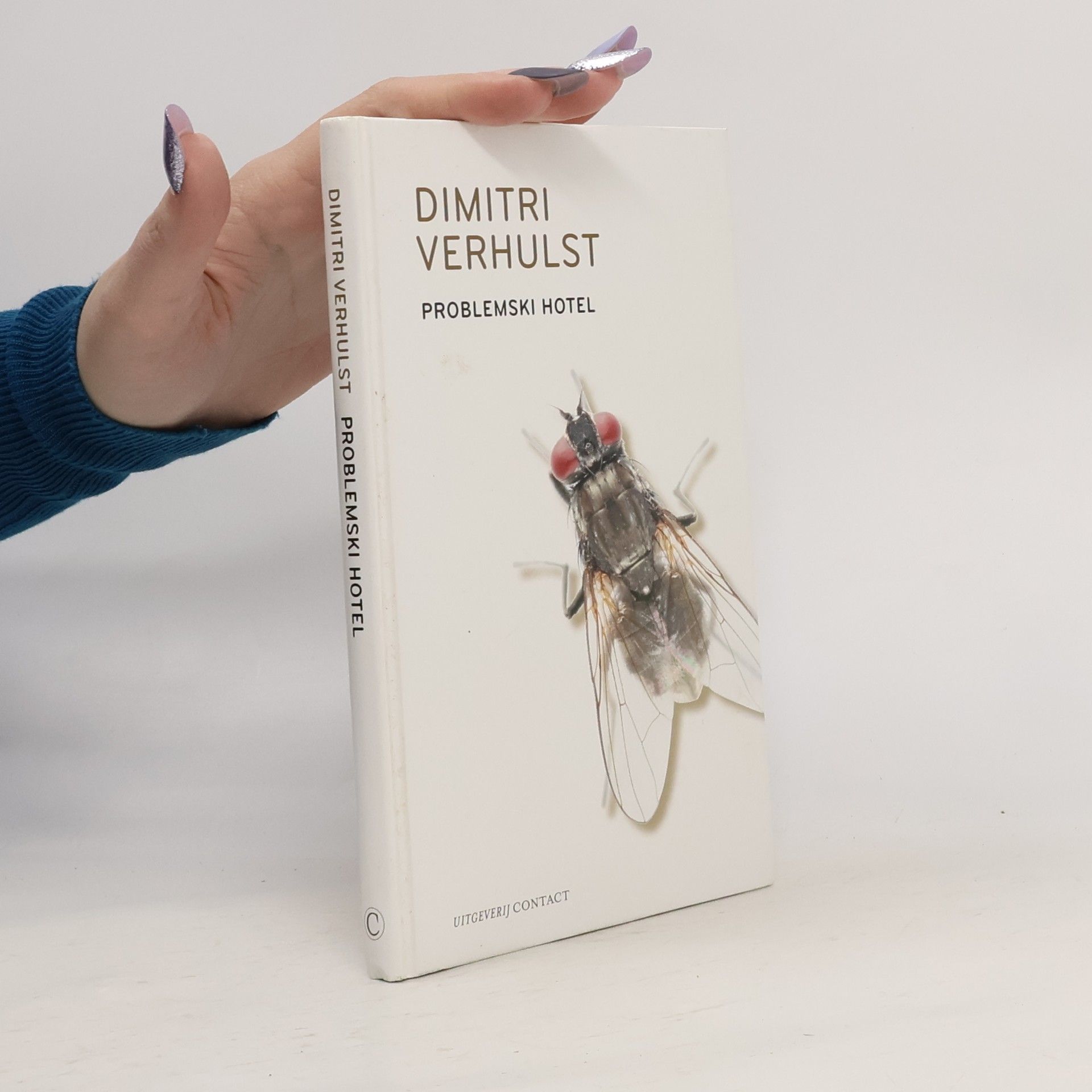 Dimitri Verhulst Problemski Hotel