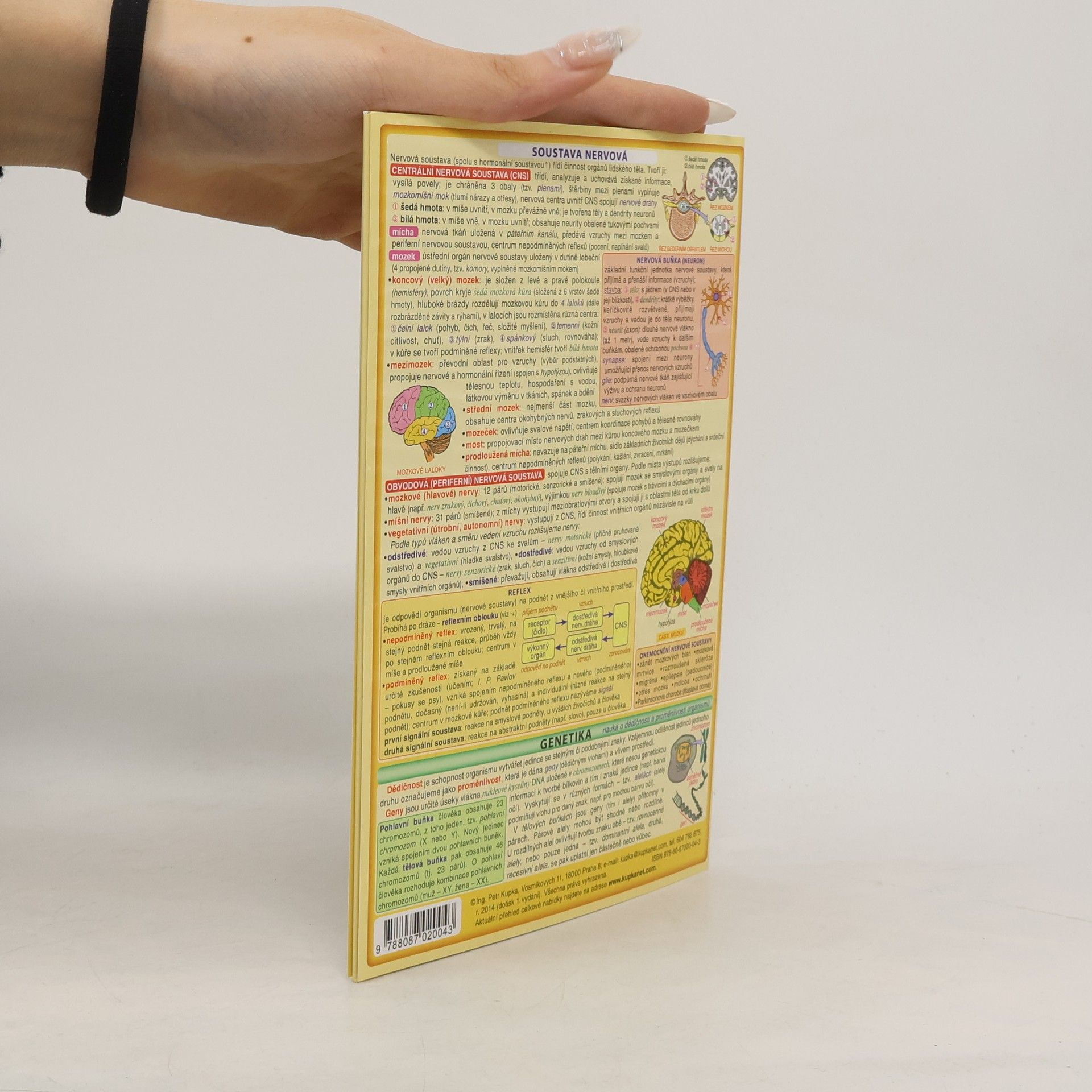 Petr Kupka Přehled přírodopisu pro ZŠ