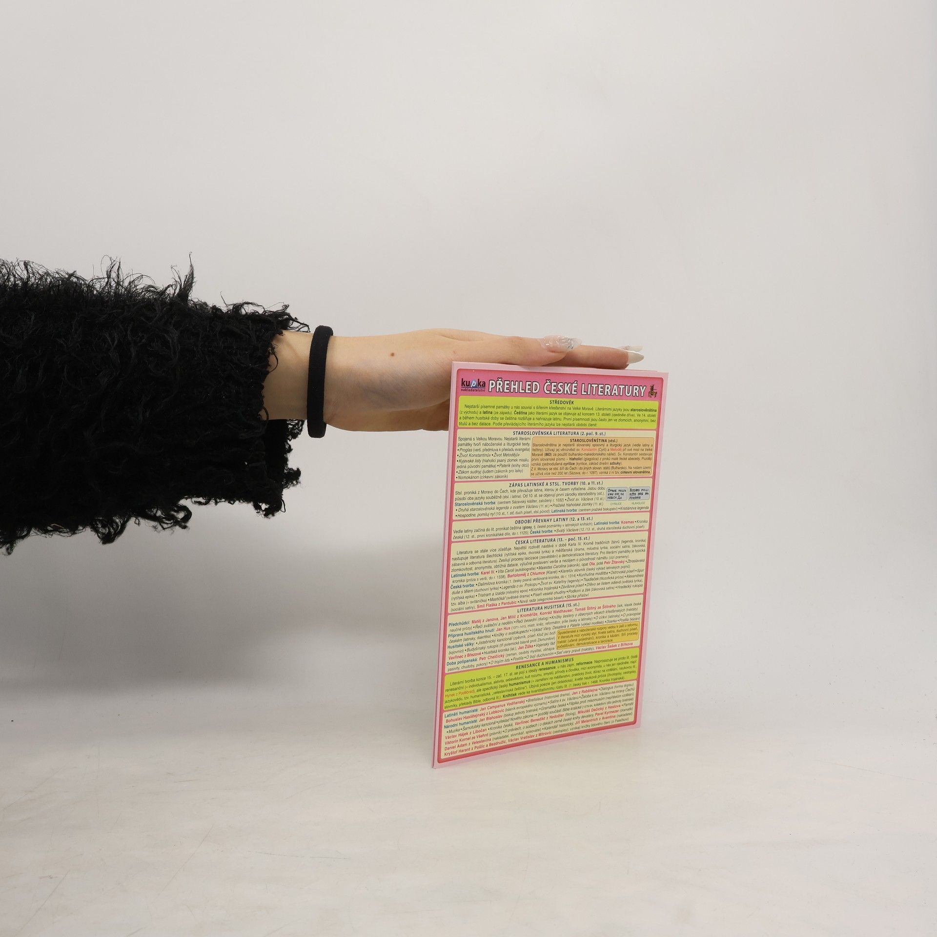 Petr Kupka Přehled české literatury