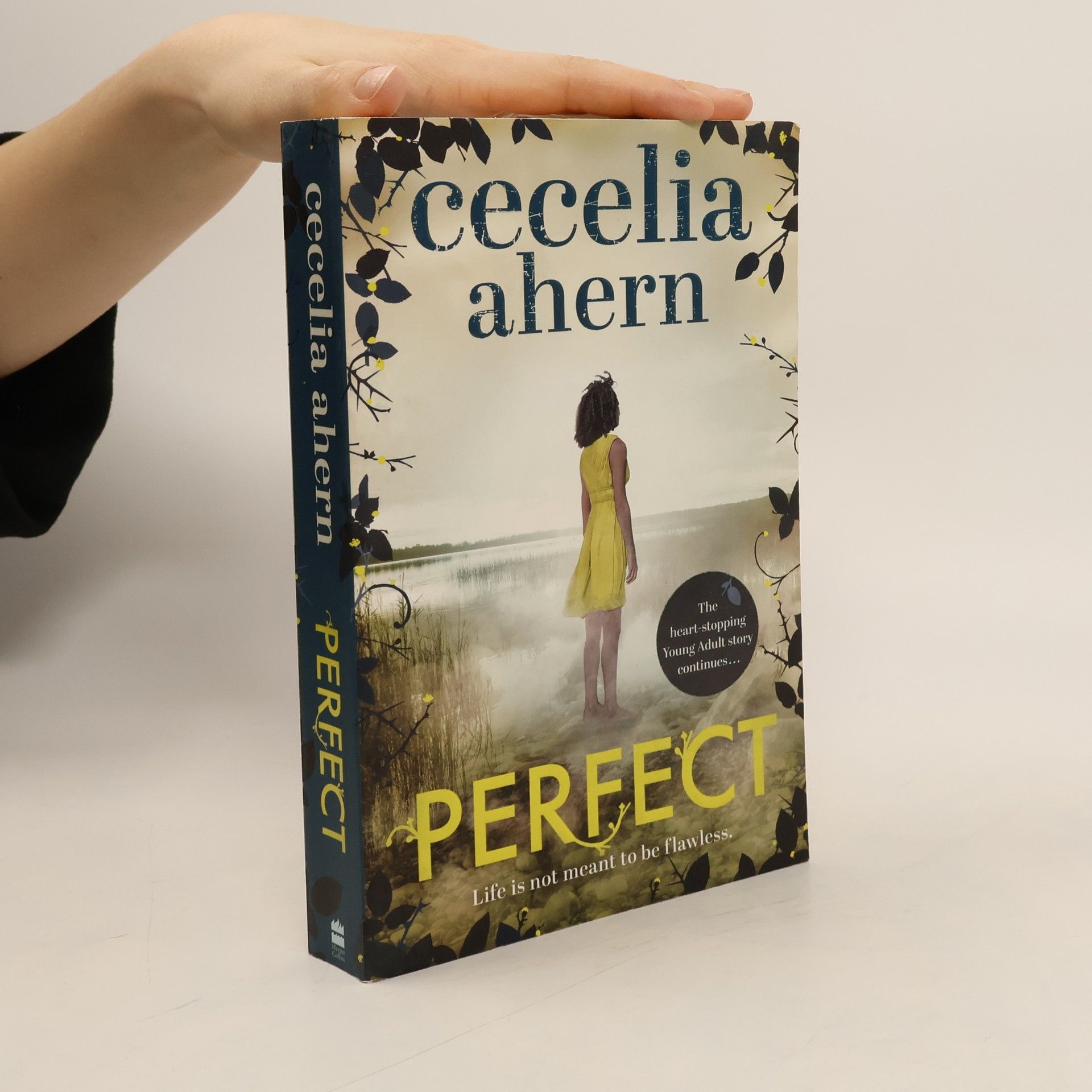Cecelia Ahern Perfect