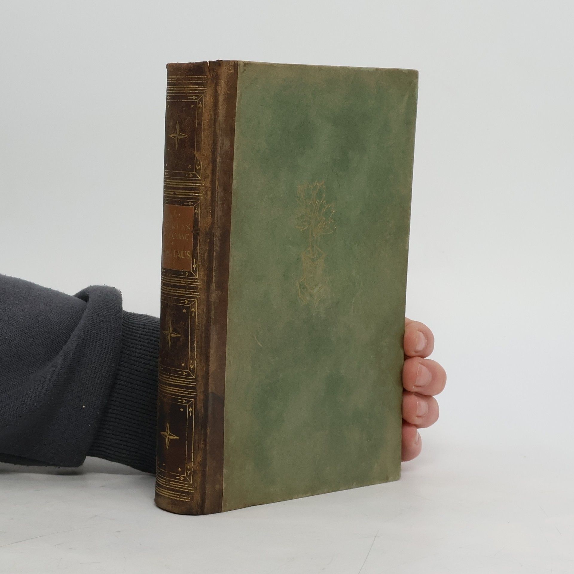 Lou Andreas-Salomé Das Haus. familiengeschichte vom Ende des vorigen Jahrhunderts