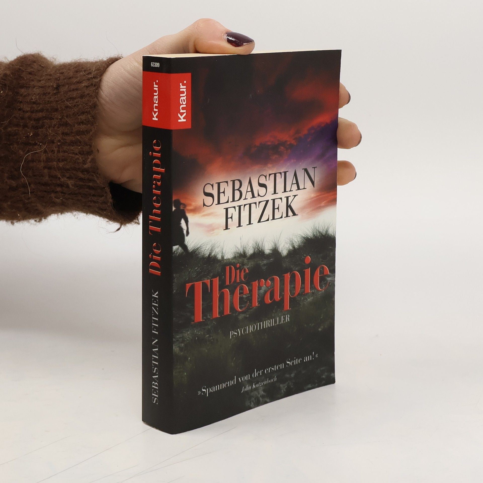 Sebastian Fitzek Die Therapie